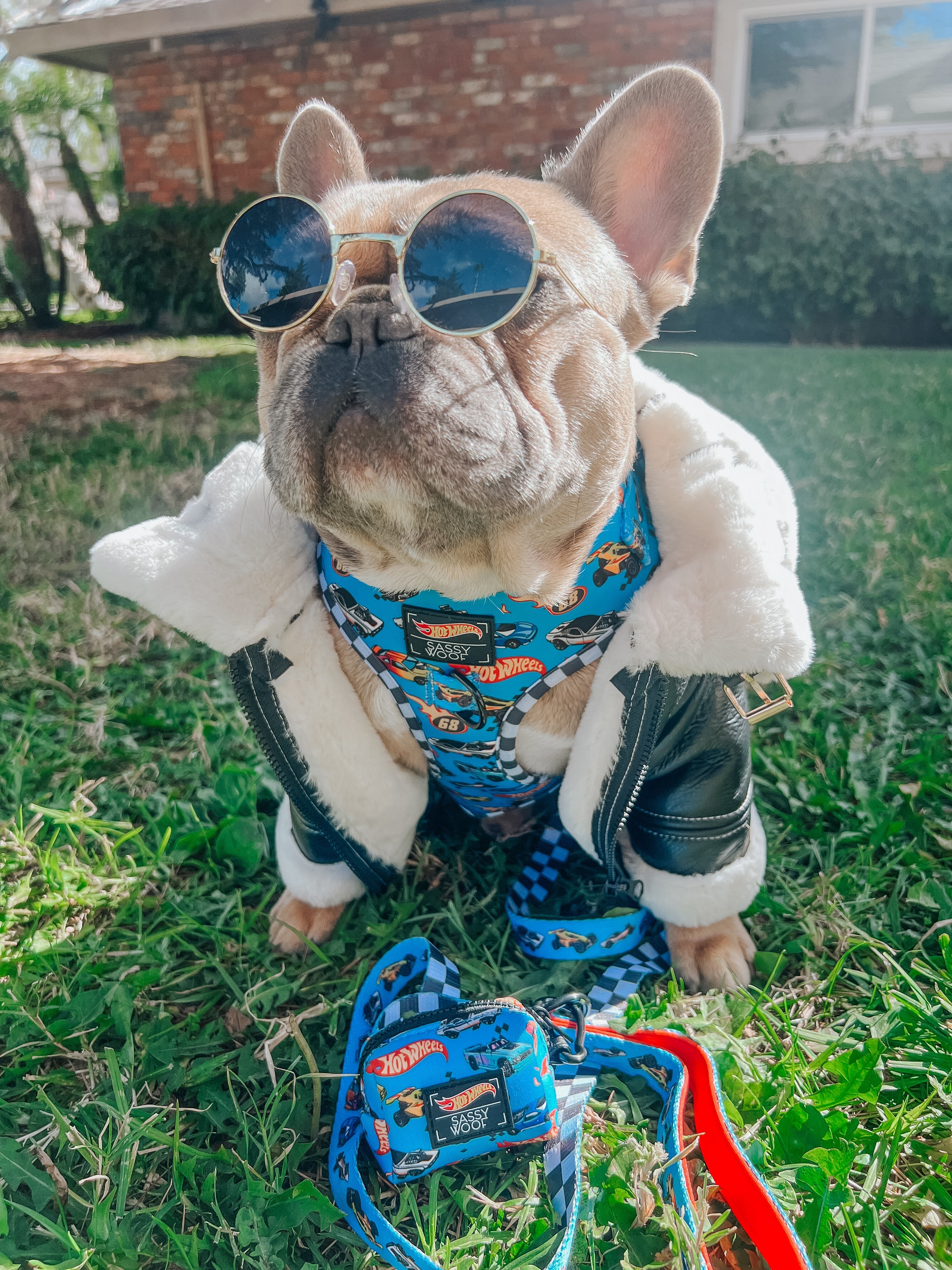 Dog Leash - Hot Wheels™