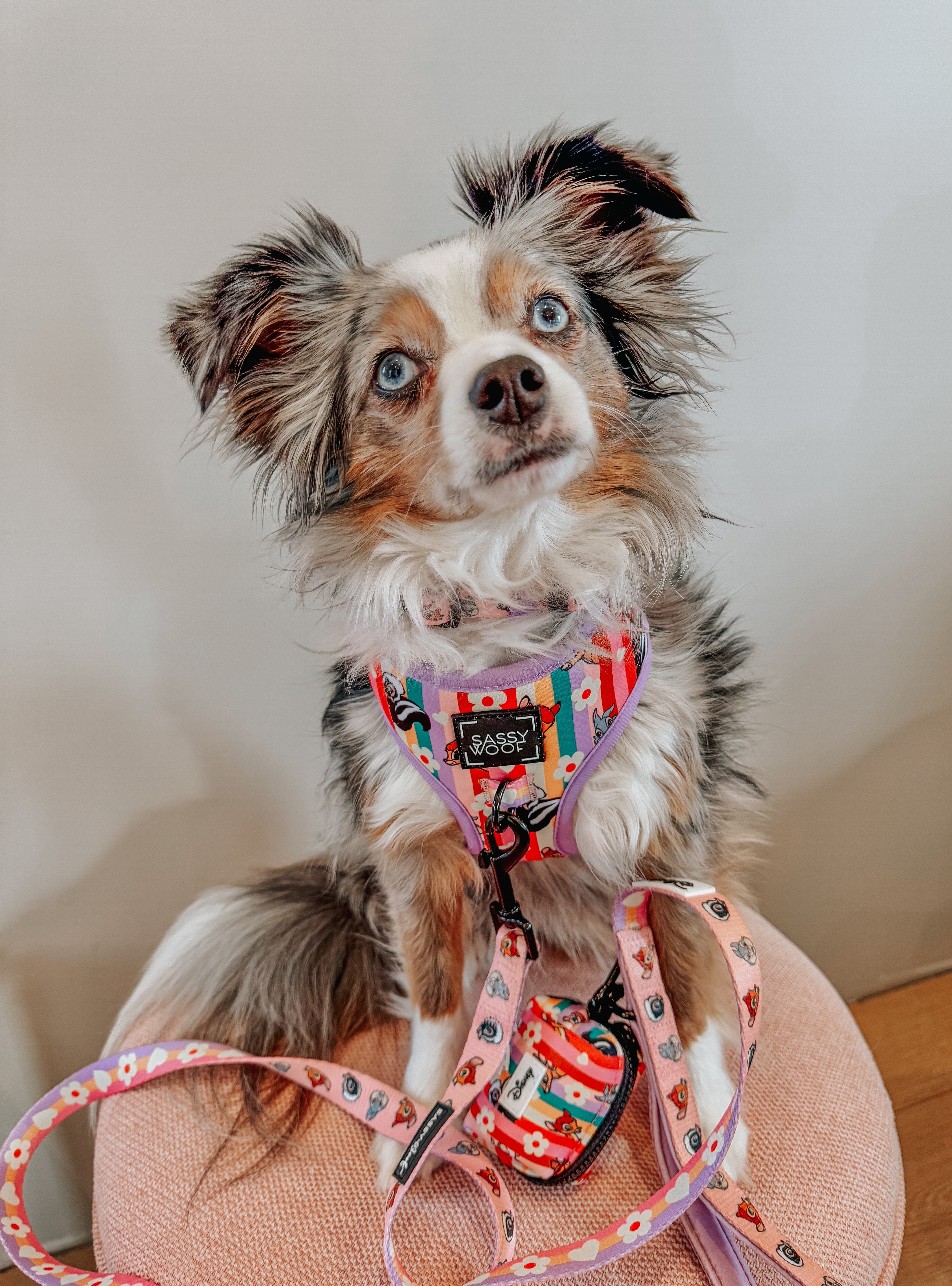 Dog Leash - Disney's Bambi