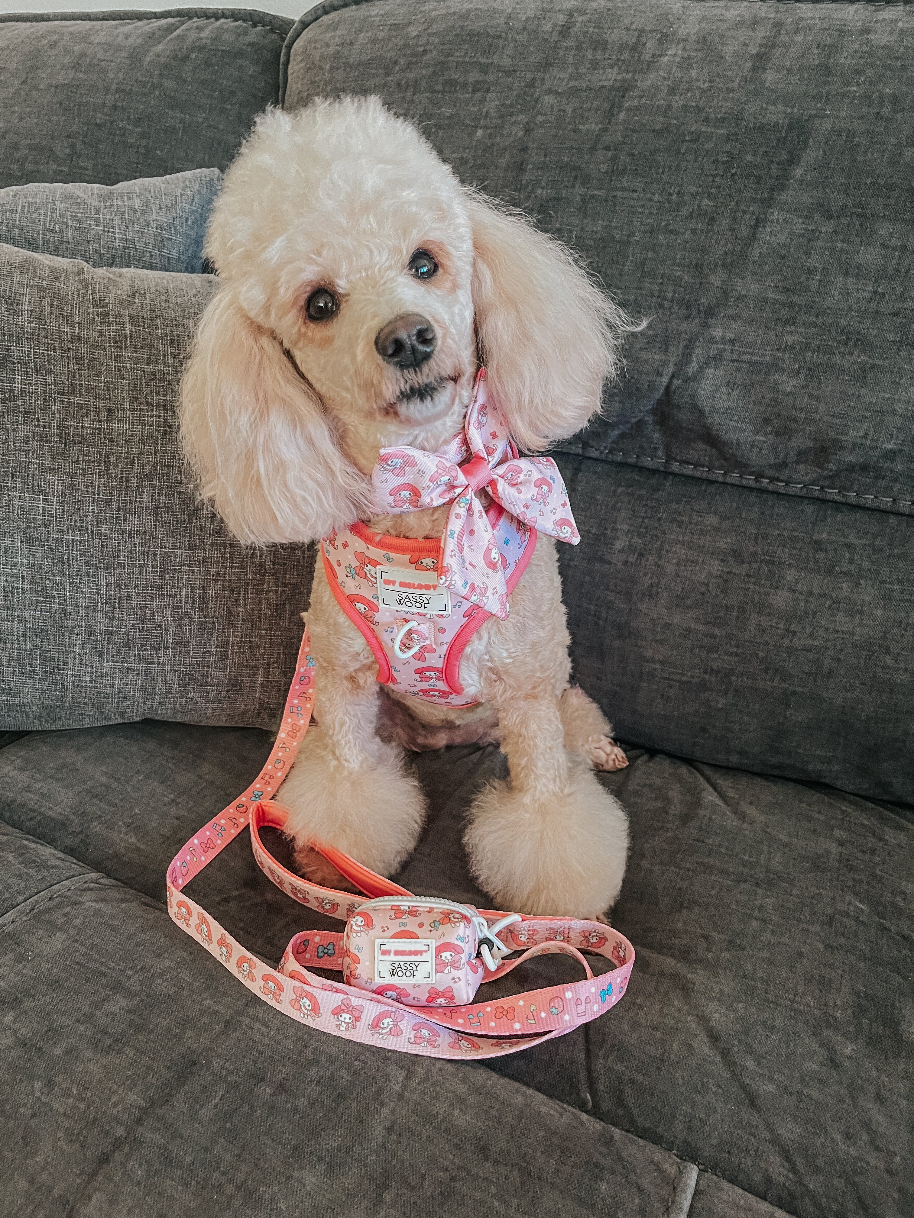 Dog Leash - My Melody™