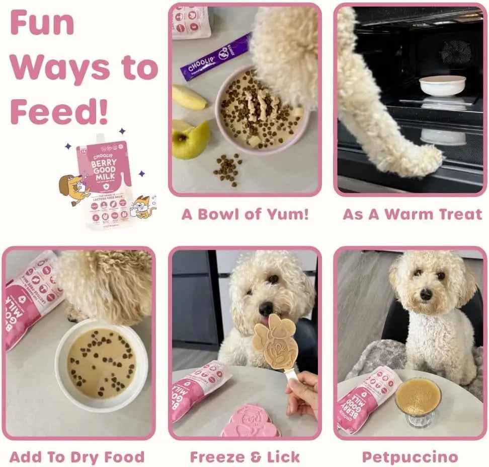 Lactose-Free Vitamin Milk for Cats & Dogs, 10-Pack