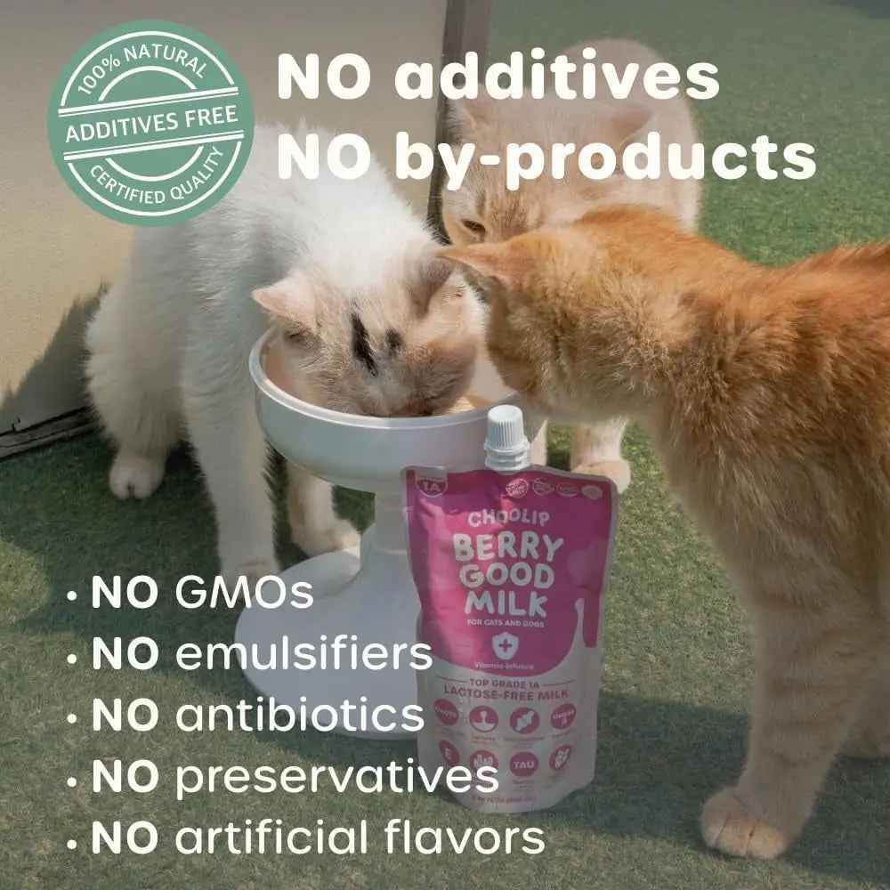 Lactose-Free Vitamin Milk for Cats & Dogs, 10-Pack