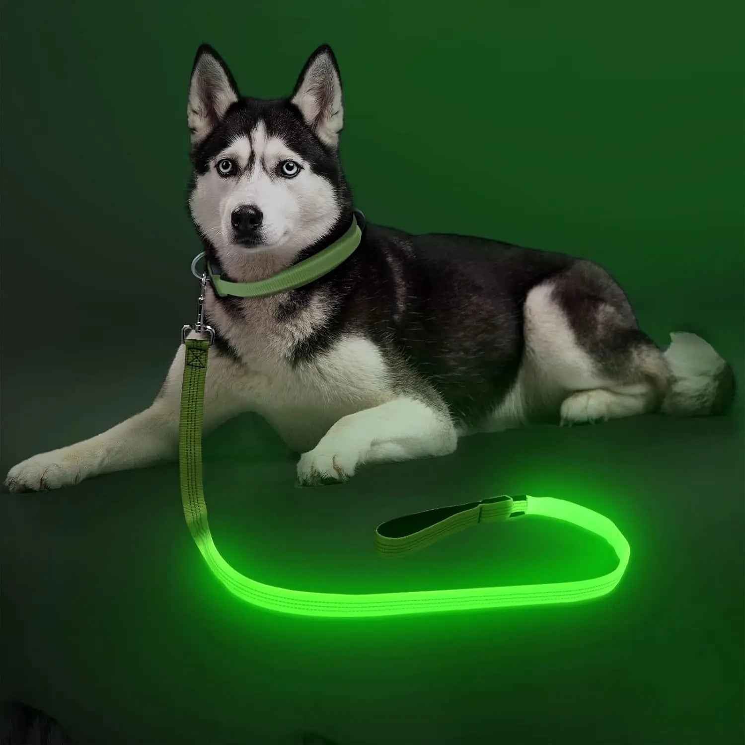 Light Up LED Dog Leash 6FT – USB Rechargeable Glow Leash for Night Safety