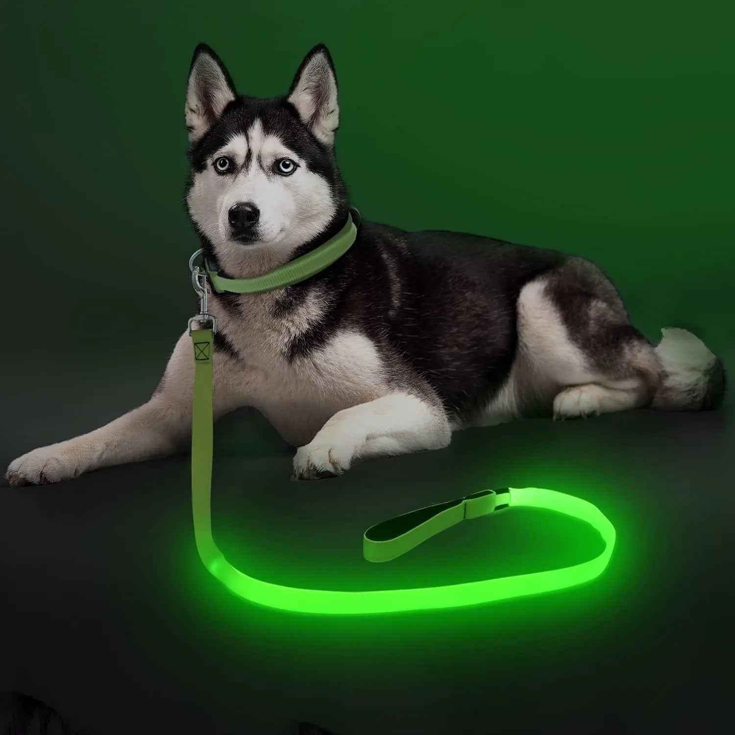 Light Up LED Dog Leash 6FT – USB Rechargeable Glow Leash for Night Safety