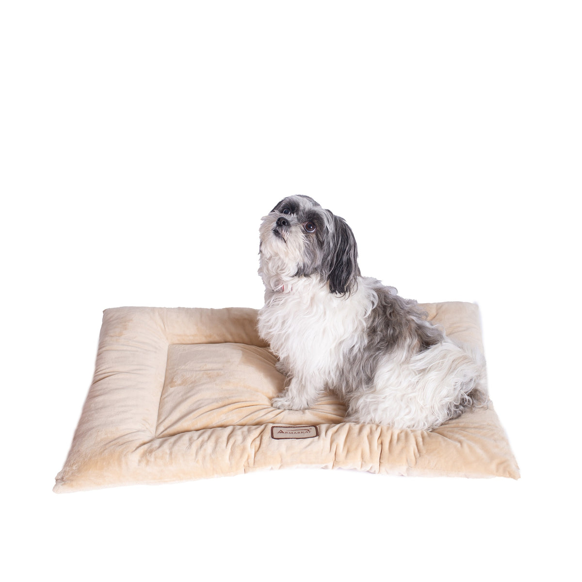 Armarkat Pet Bed Mat 27-Inch By 19-Inch By 2.5-Inch M01-Medium