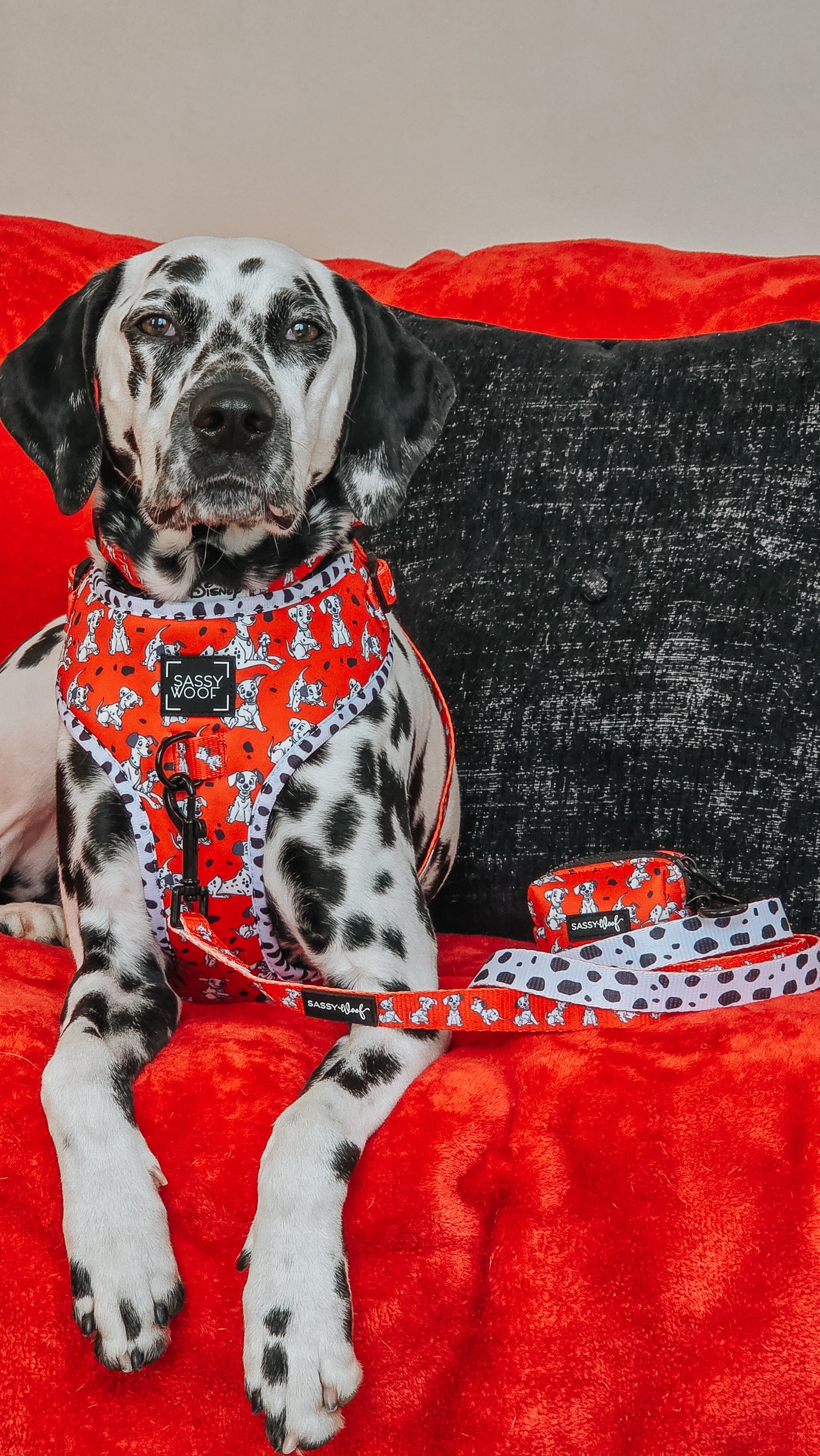 Dog Leash - Disney's 101 Dalmatians