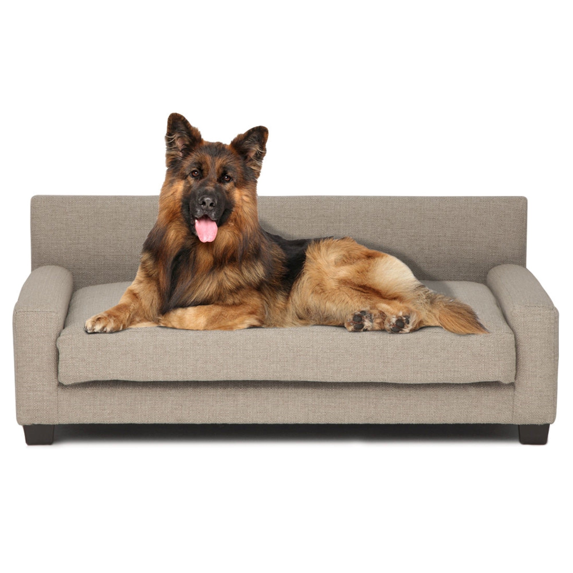 Club Nine Pets Unisex Metro Orthopedic Dog Bed - Large Oatmeal Lg One Size