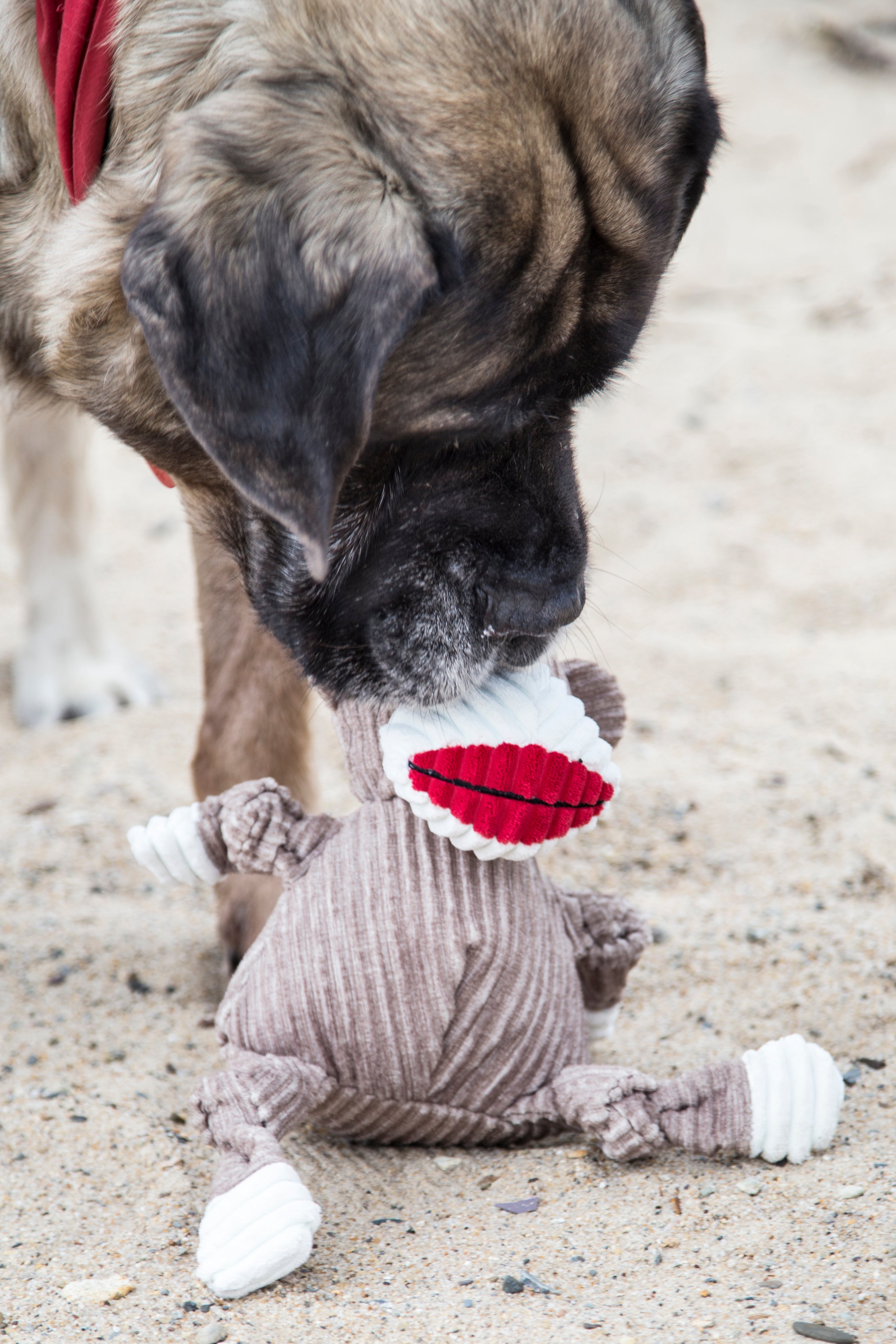 Stuey Sock Monkey Knottie®  Plush Dog Toy