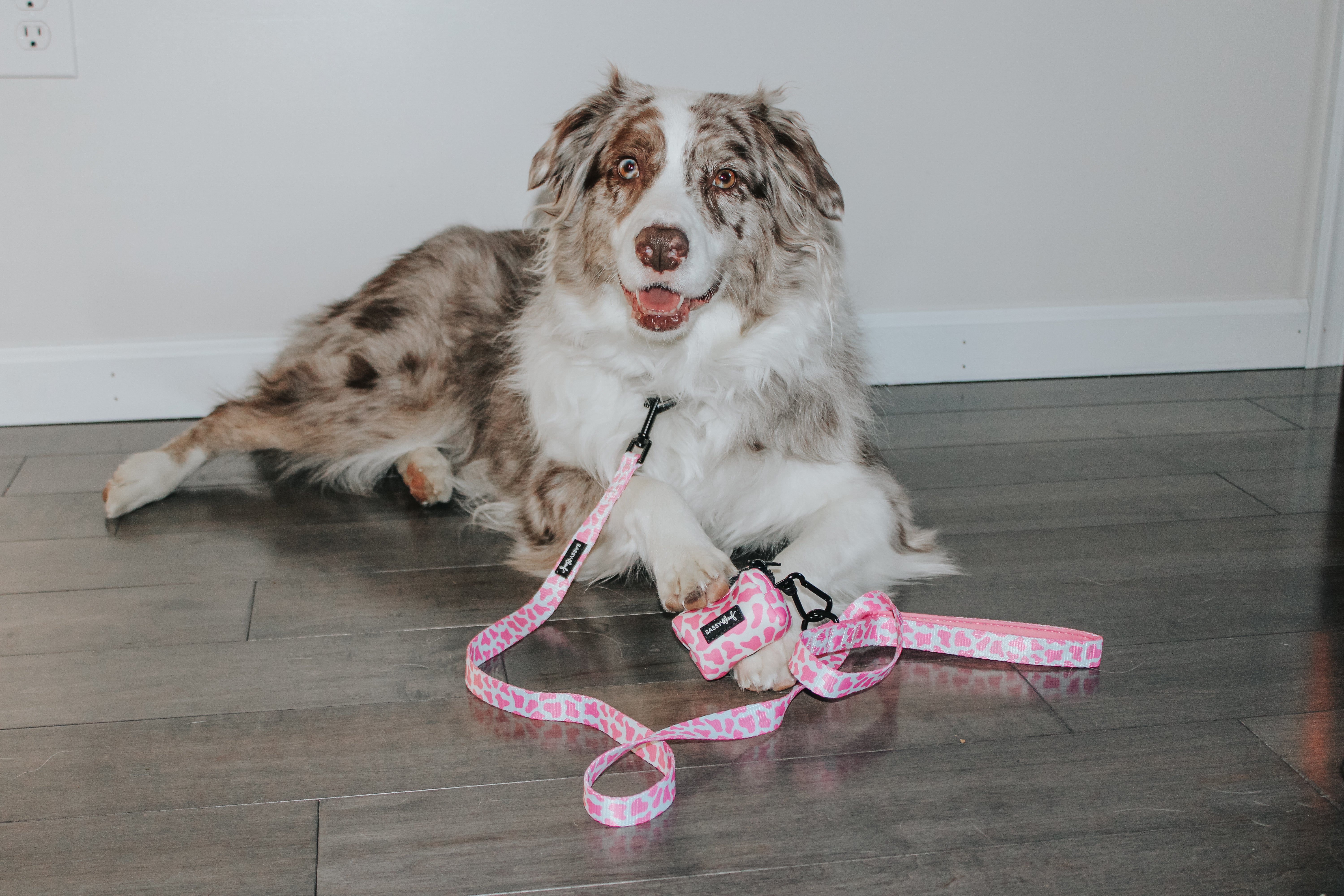 Dog Leash - Strawberry Milk