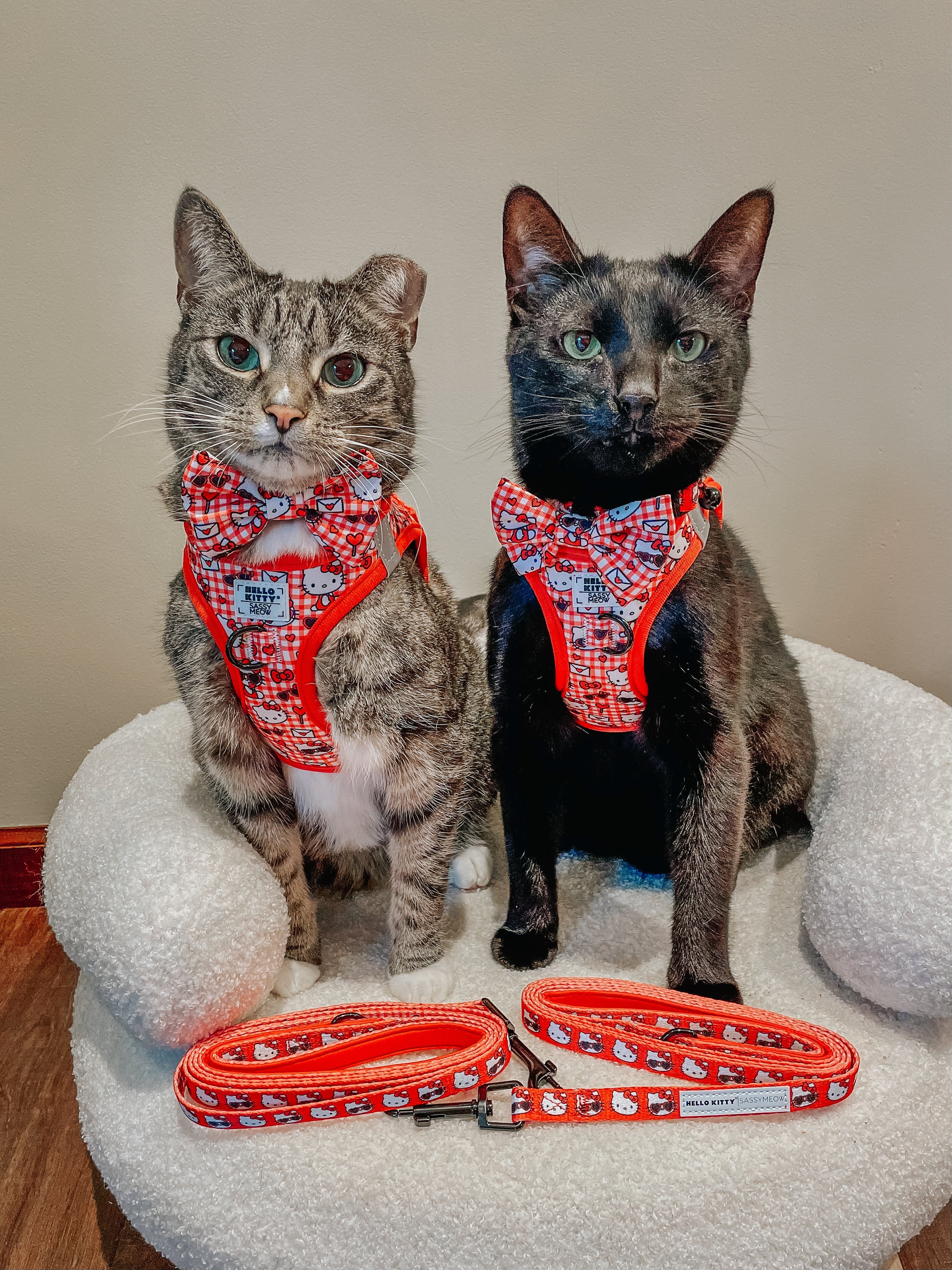 Cat Leash - Hello Kitty® Red Classic