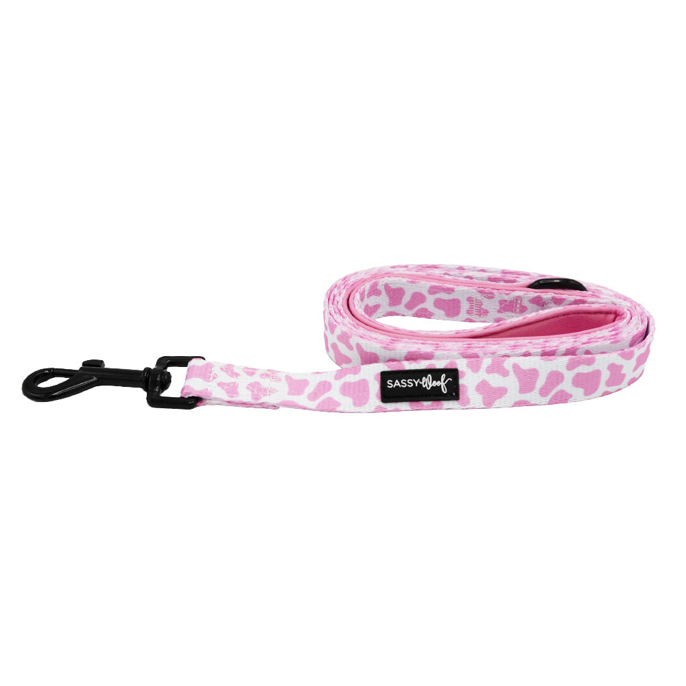 Dog Leash - Strawberry Milk