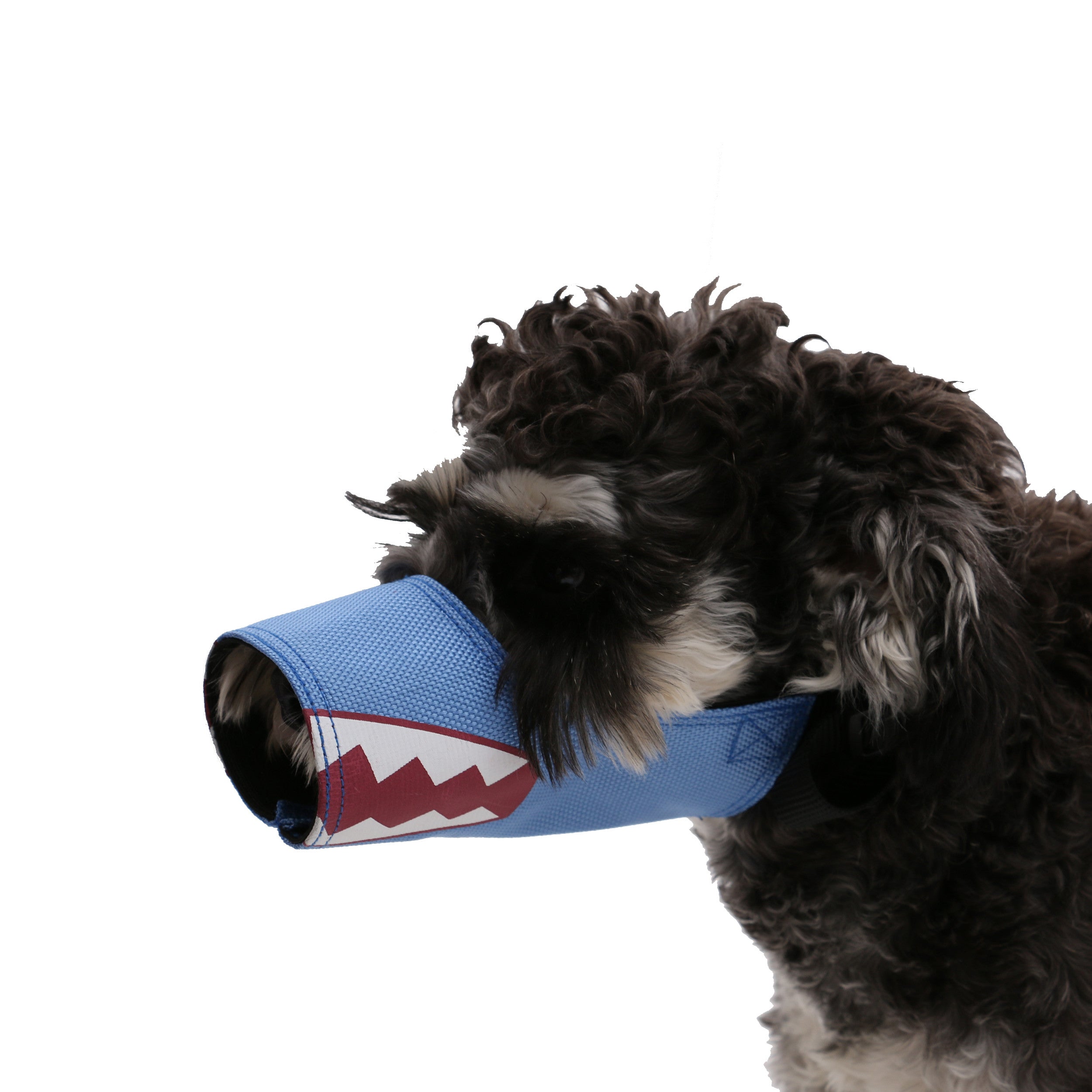 Pet Life Fumigation Adjustable Designer Dog Muzzle - Small - Blue