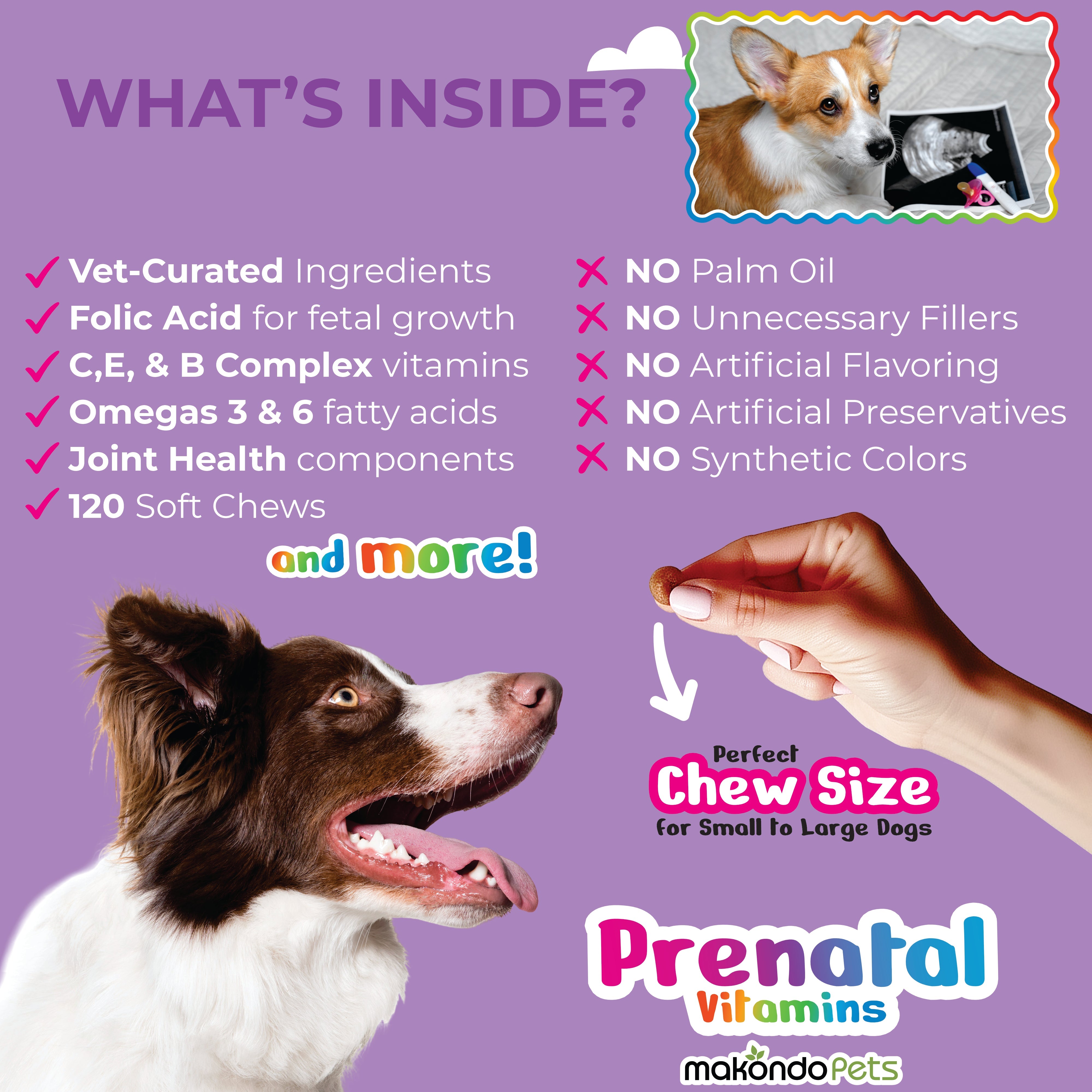 Dog Prenatal Vitamins - 120 Soft Chews