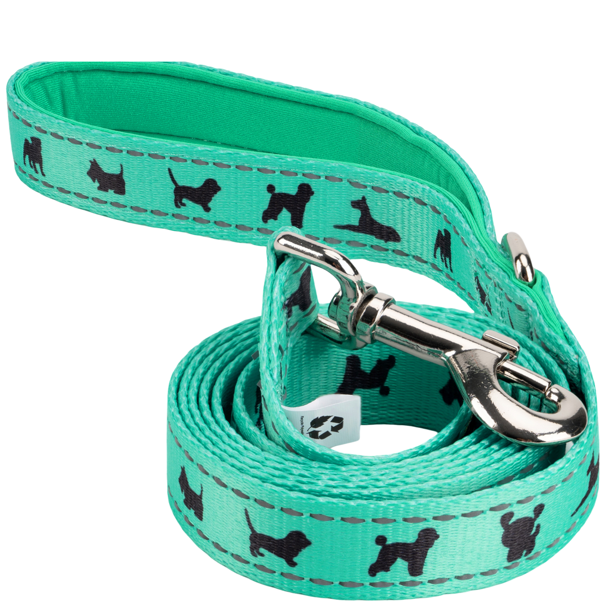 EcoBark Mint Turquoise Dog Leash - Comfort Grip Padded Leash - 4ft, 5ft, and 6ft Dog Leash for Small and Medium Dogs