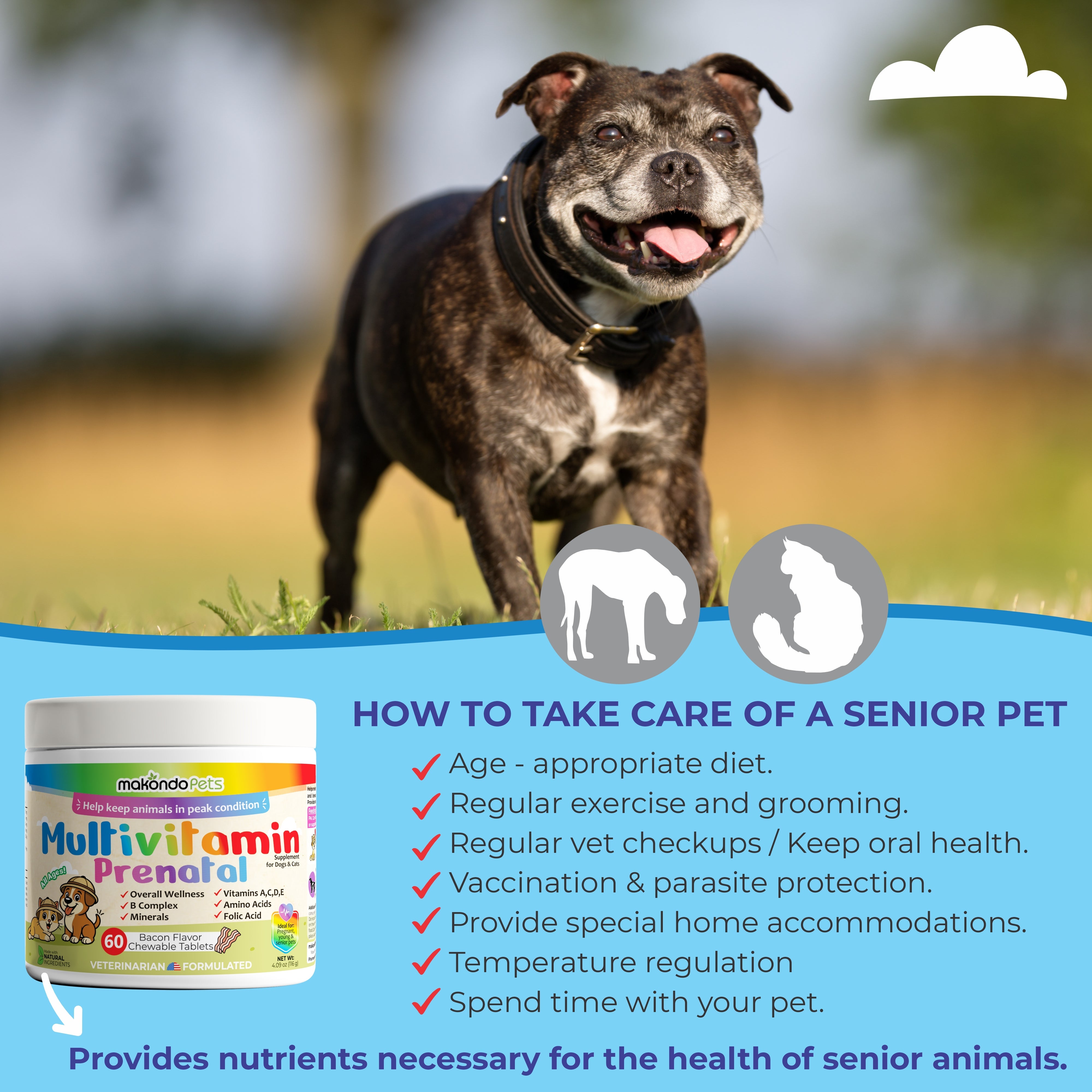 Multivitamin for Dogs & Cats. Prenatal Vitamins. 60 Tabs