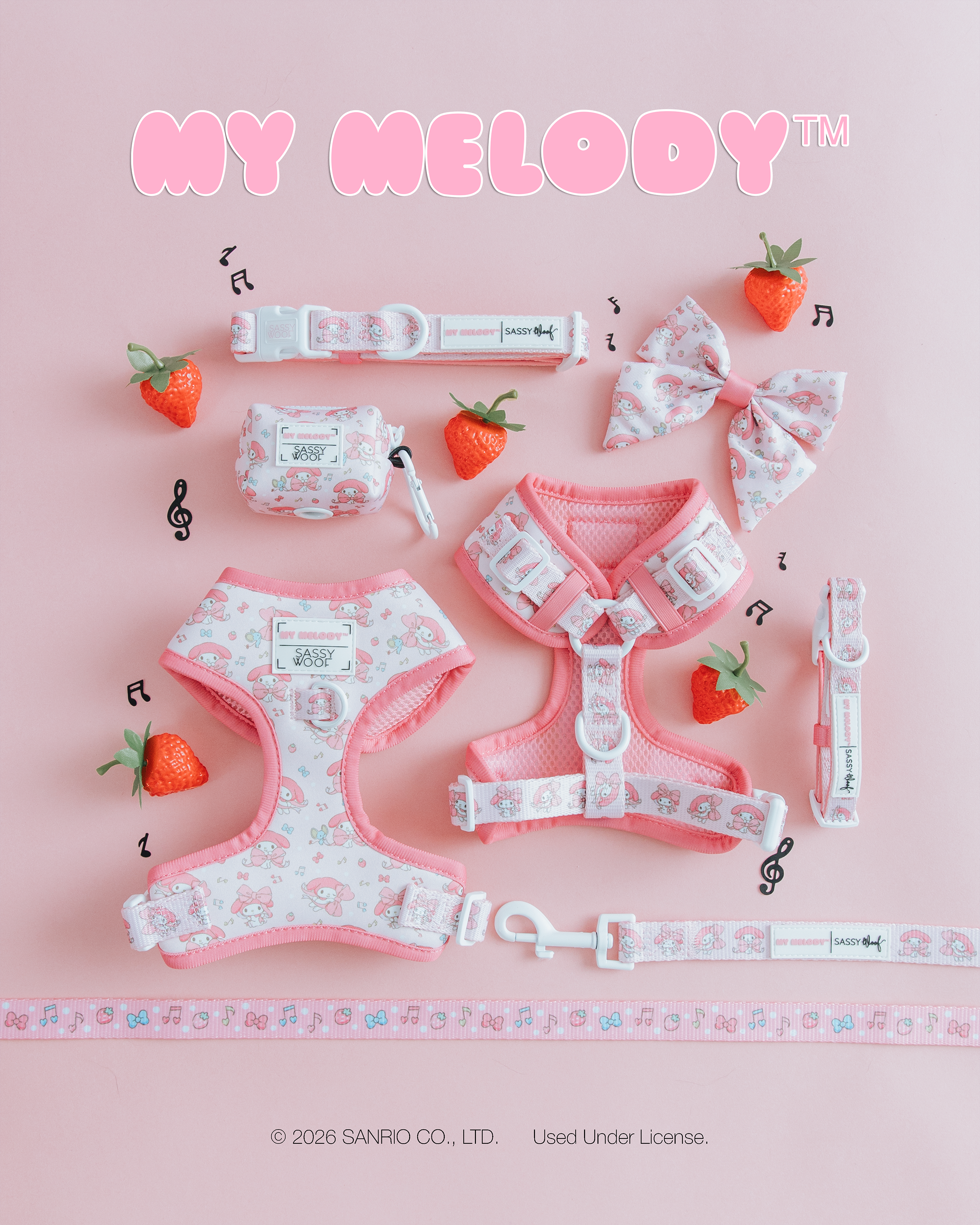 Dog Leash - My Melody™