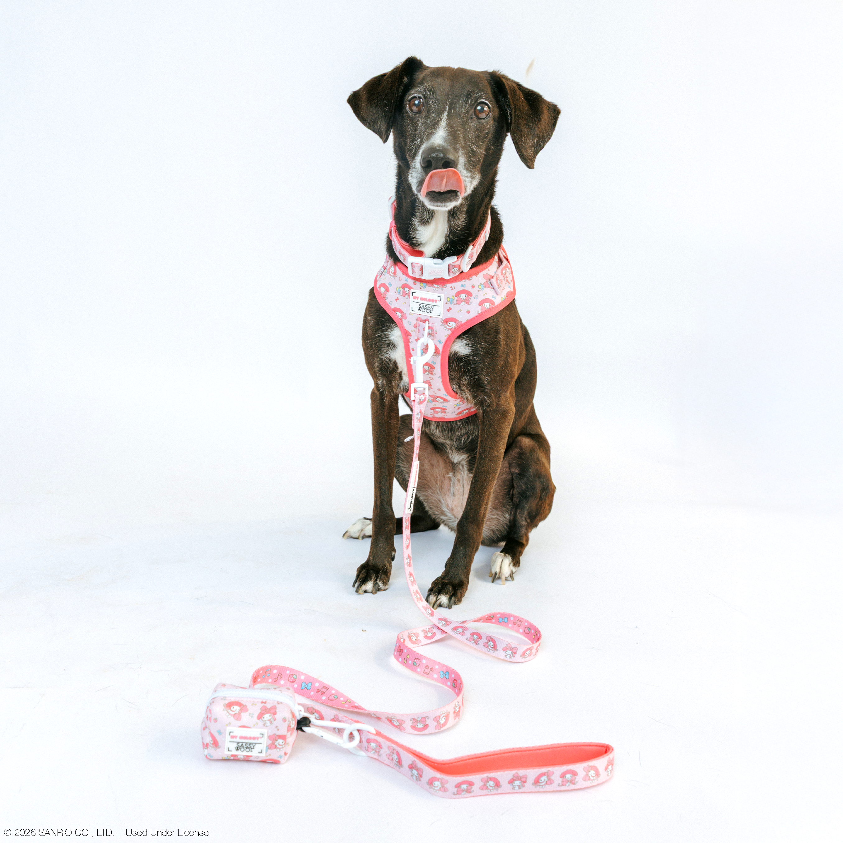 Dog Four Piece Bundle - My Melody