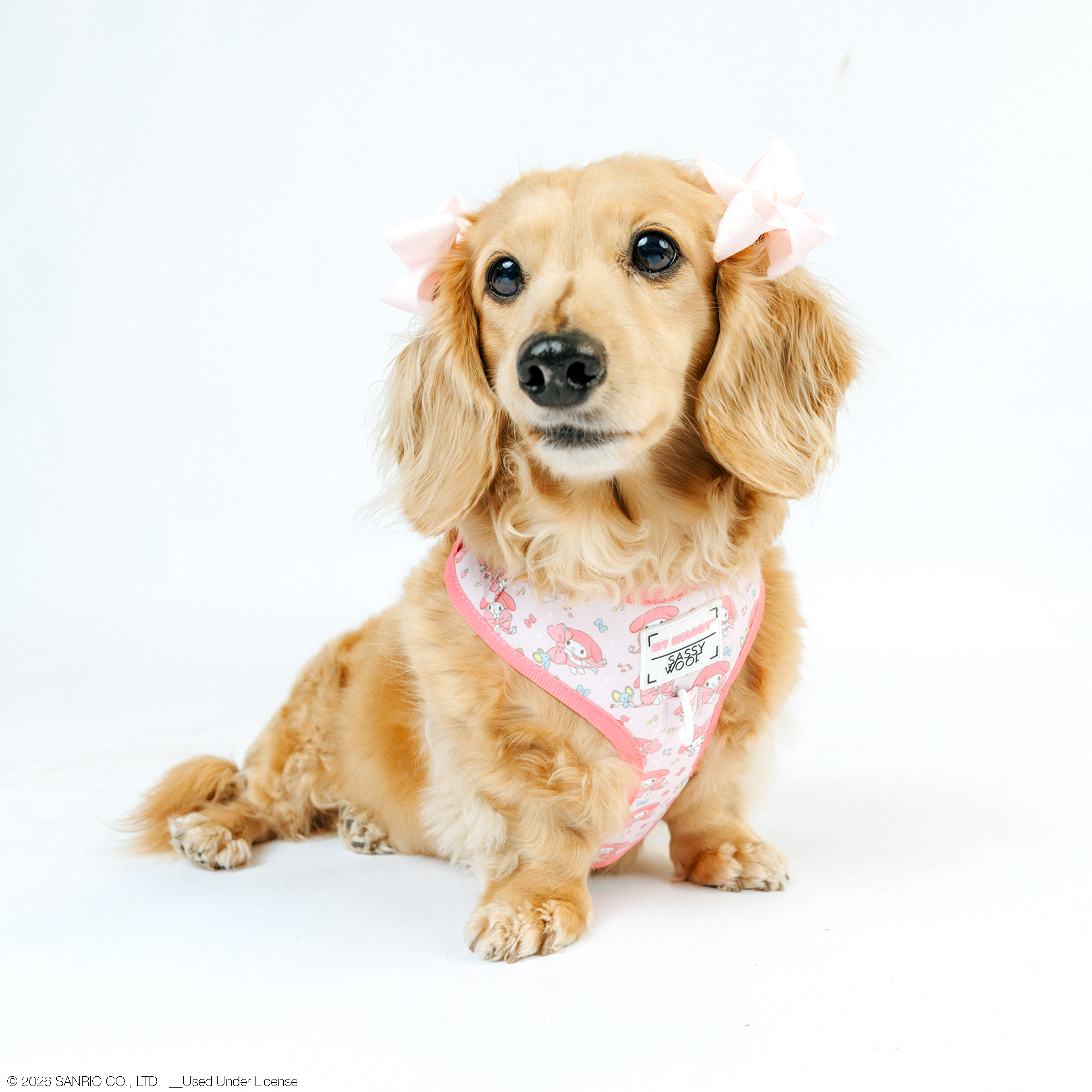 Dog Four Piece Bundle - My Melody