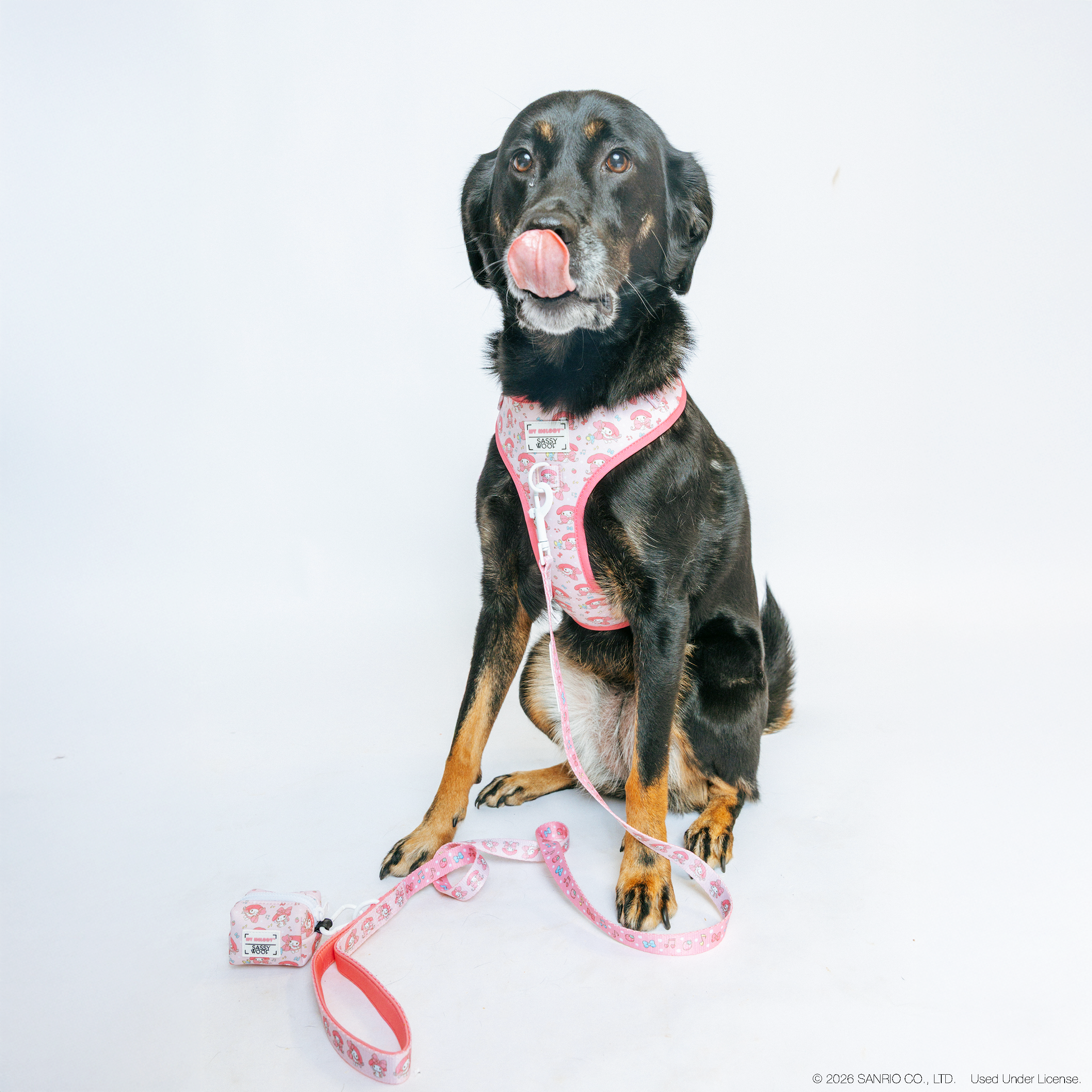 Dog Leash - My Melody™