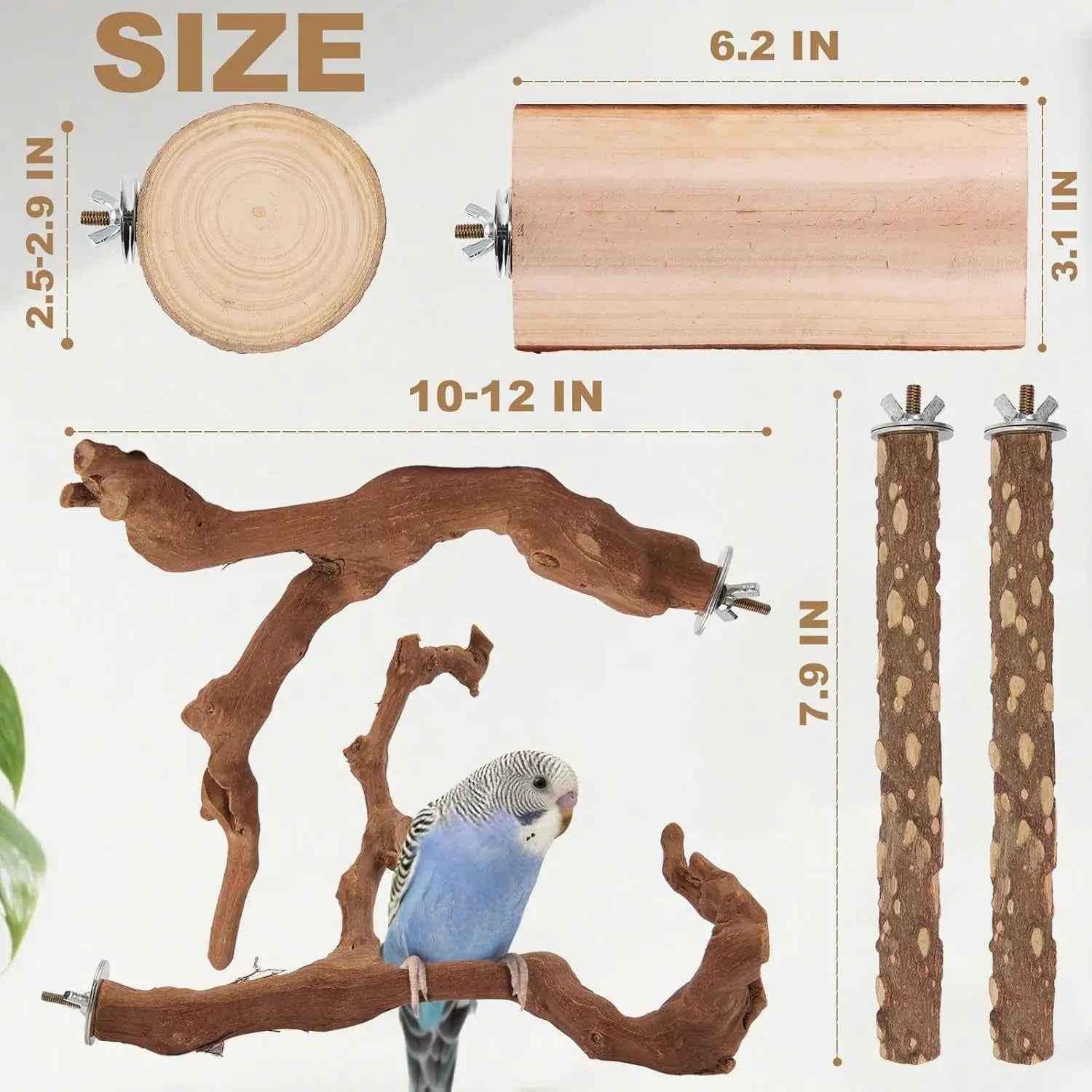 Natural Bird Perch Set – 6-Piece Grapewood & Peppercorn Branch Perches
