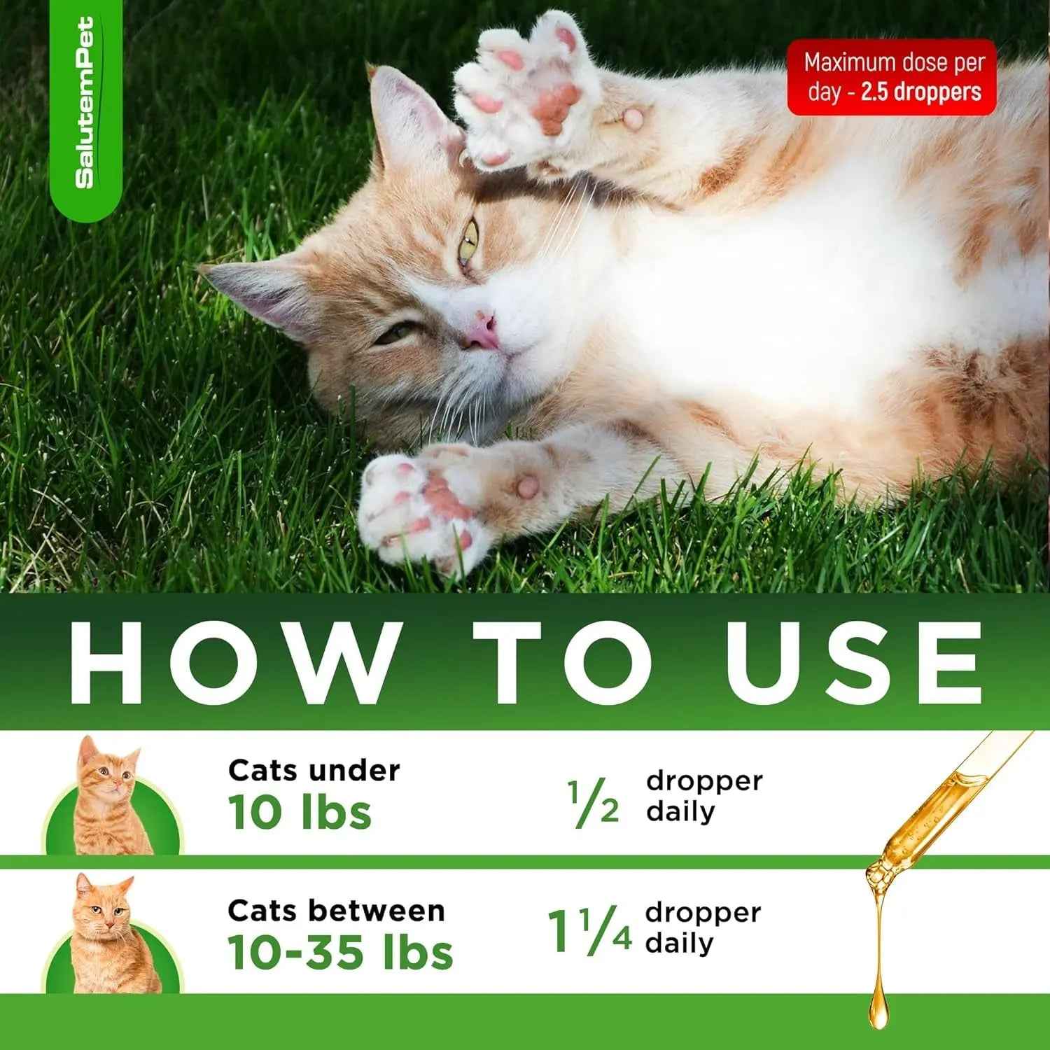 Natural Immune Support Drops for Cats Chicken Flavor 2oz