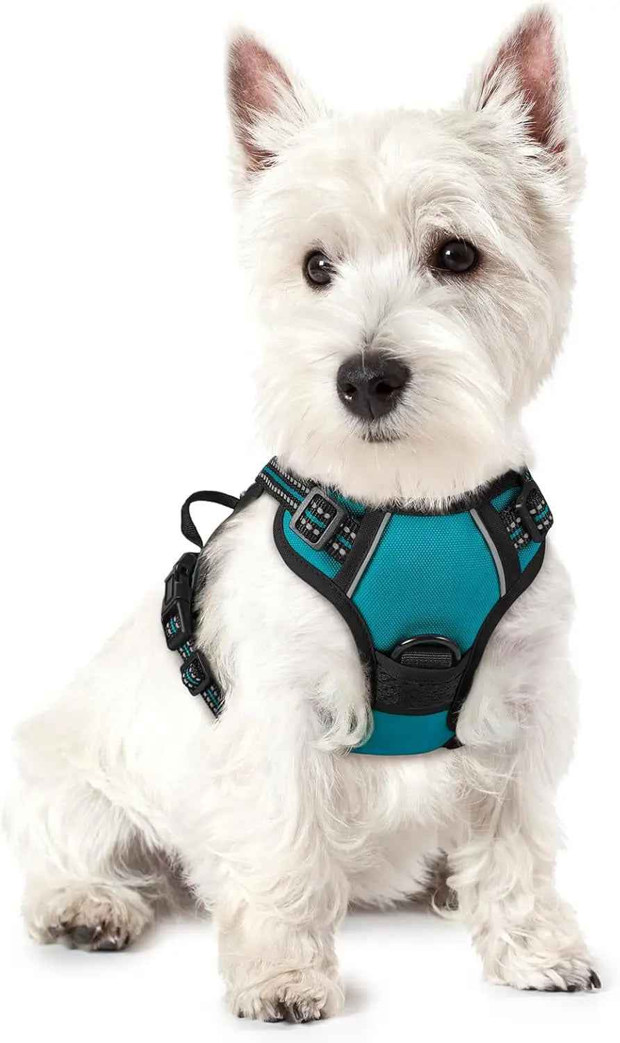 No-Pull Reflective Dog Harness with Dual Leash Clips – Adjustable Oxford Vest
