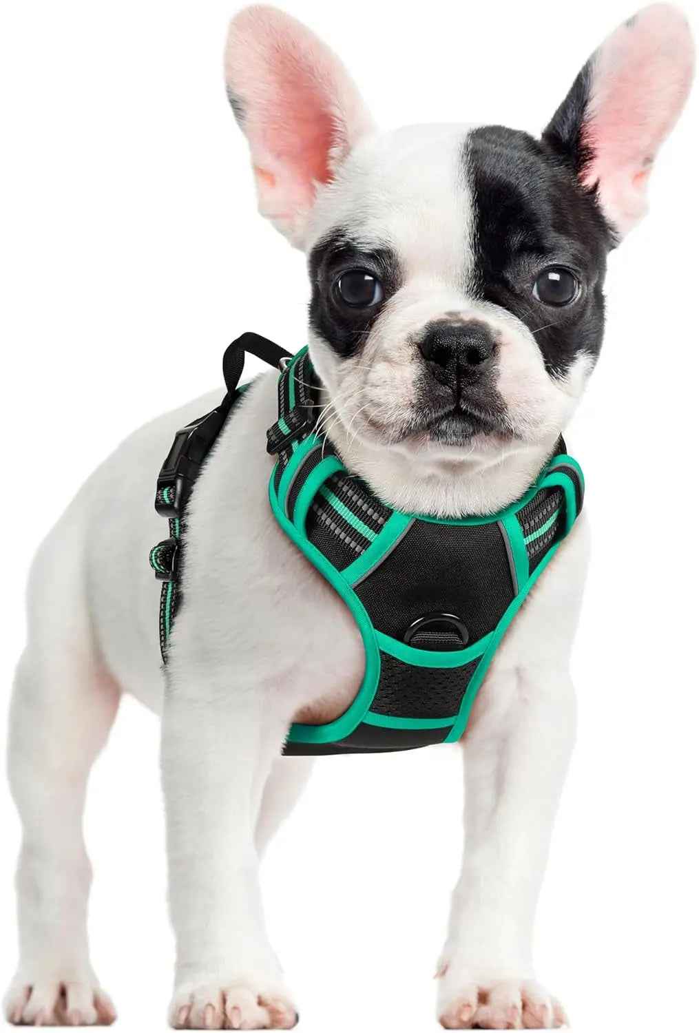 No-Pull Reflective Dog Harness with Dual Leash Clips – Adjustable Oxford Vest