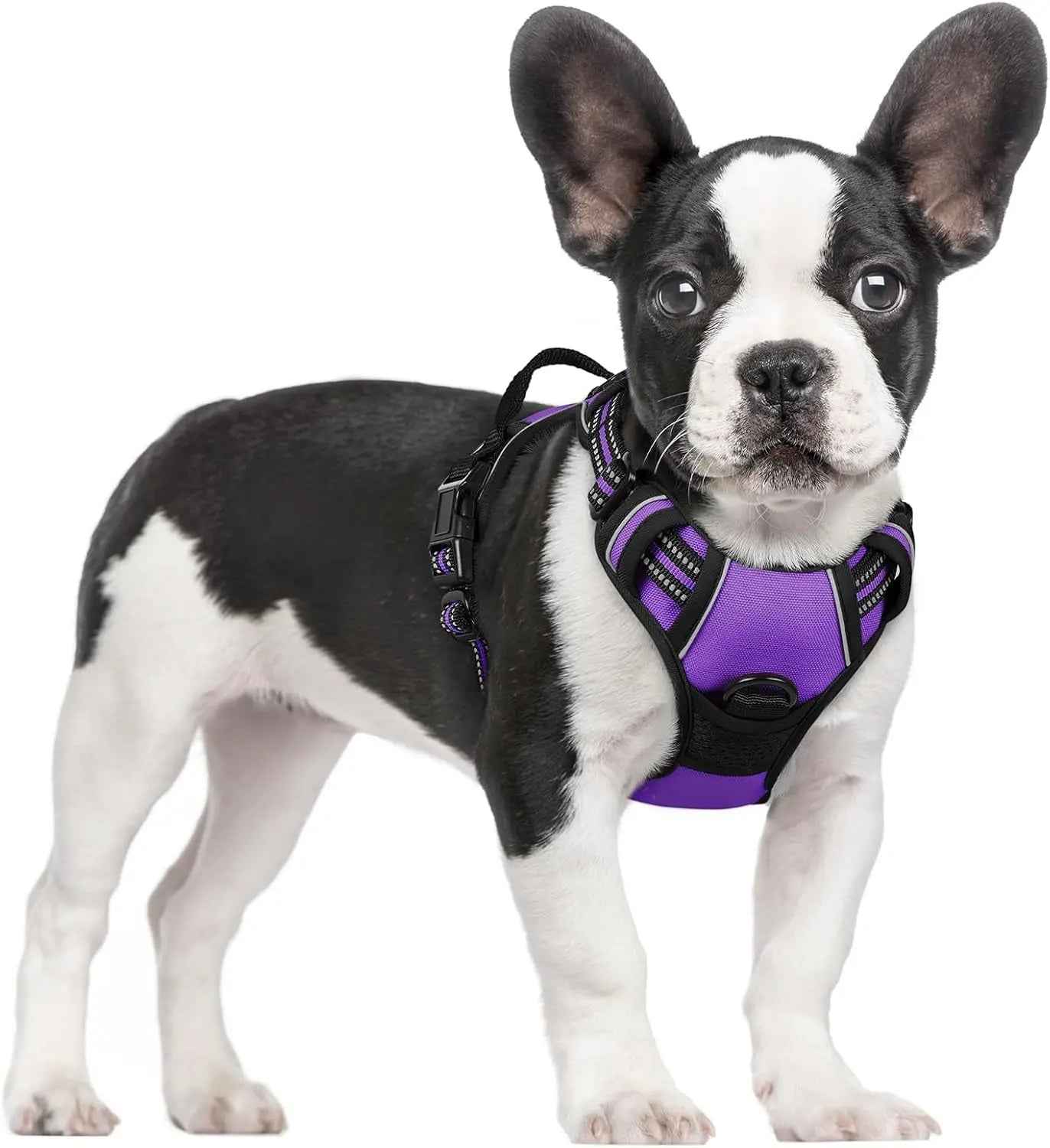 No-Pull Reflective Dog Harness with Dual Leash Clips – Adjustable Oxford Vest