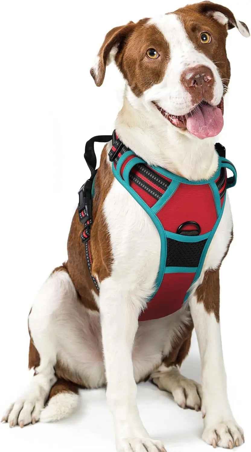 No-Pull Reflective Dog Harness with Dual Leash Clips – Adjustable Oxford Vest