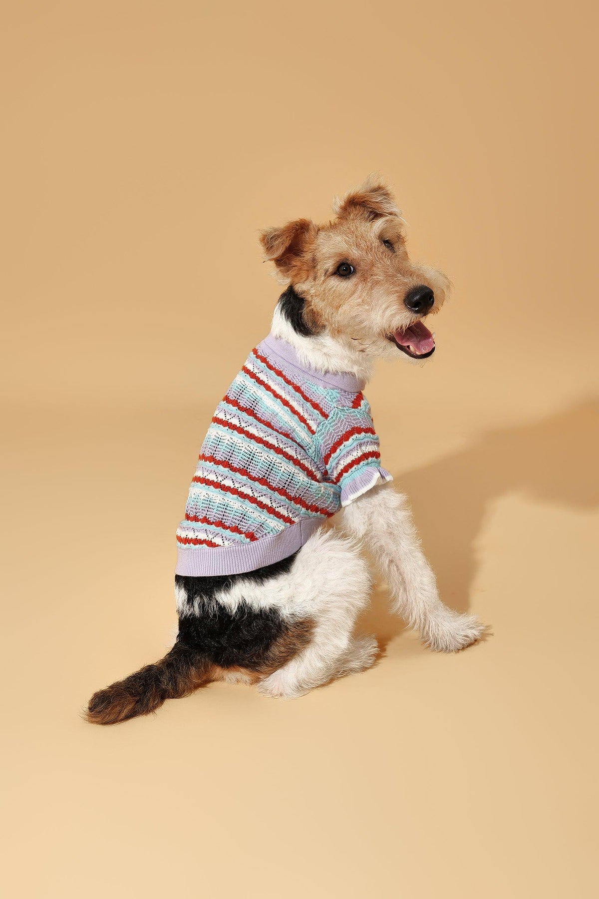 Spring Pets Me Pet & Me Spring Summer Lavender Ruffle Crochet Short Sleeve Polo Shirt ...
