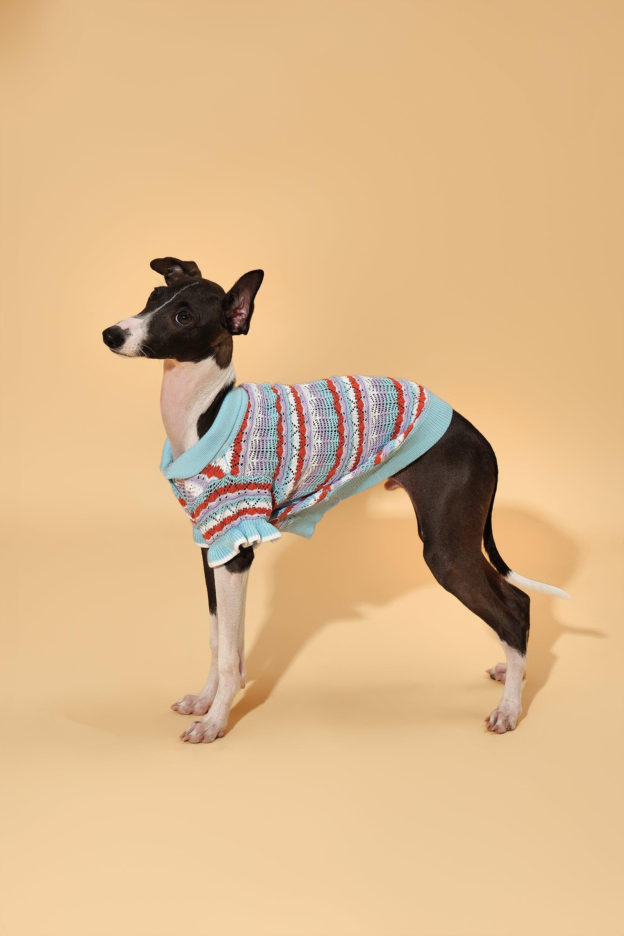 Spring Pets Me Pet & Me Spring Summer Ocean Blue Ruffle Crochet Short Sleeve Polo Shi ...