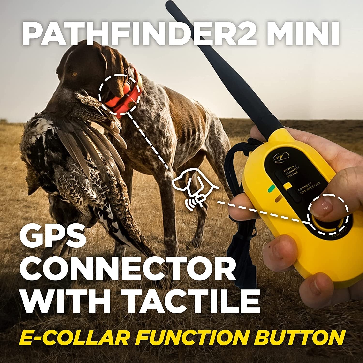 Dogtra Pathfinder 2 Mini Additional Receiver Dog Gps Tracker E Collar Green Led Light No Monthly Fees Free App Waterproof Smartwatch Control Satellite Real Time Tracking Long Range Smartphone Required
