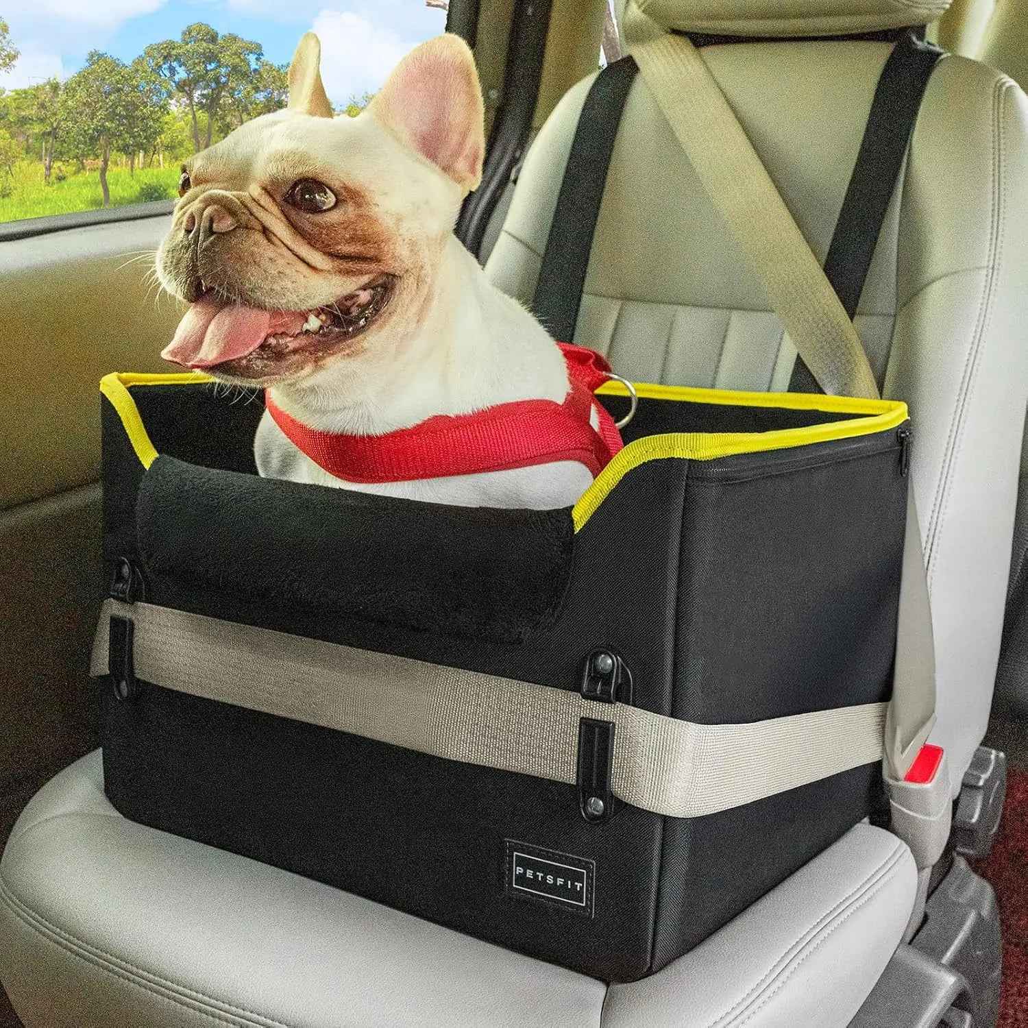 PETSFIT Foldable Dog Car Seat Booster with Safety Buckles