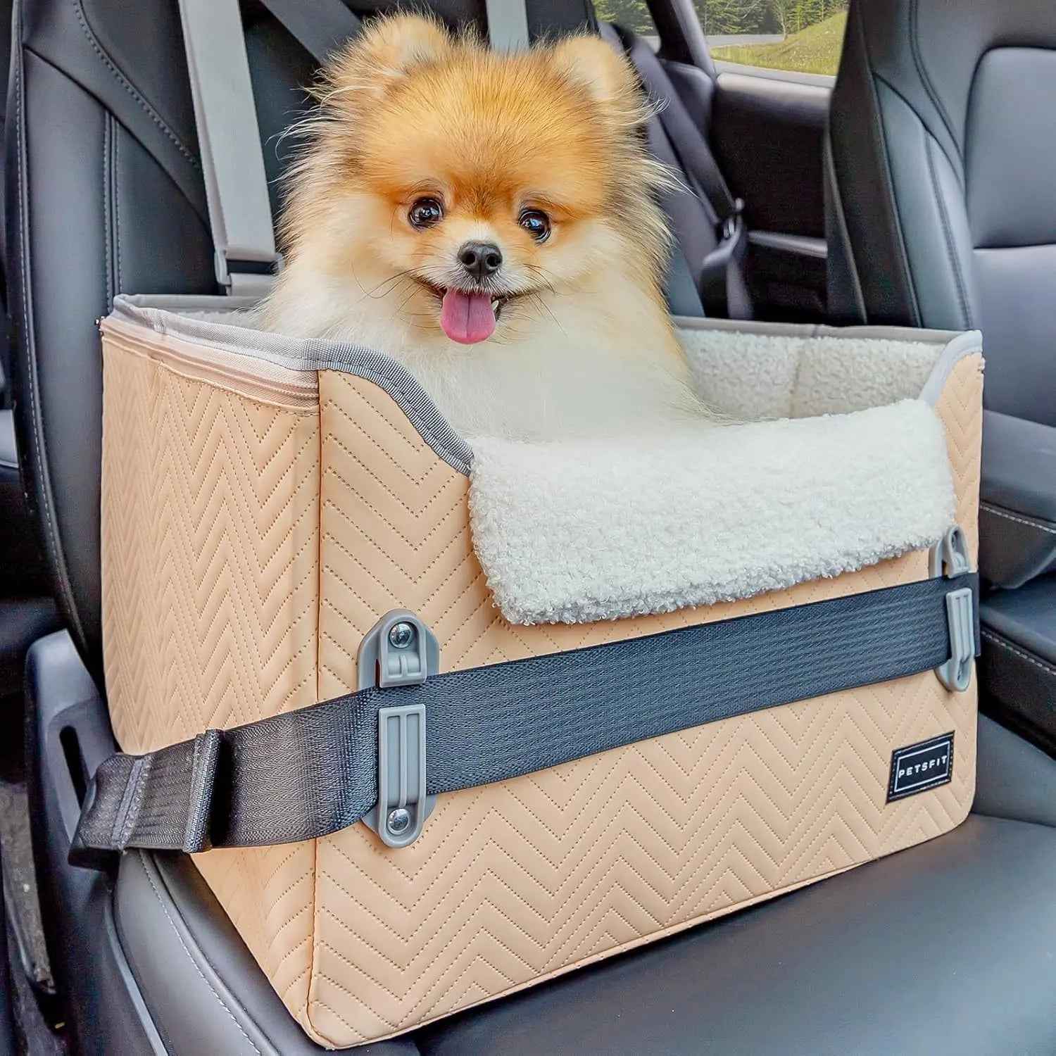 PETSFIT Foldable Dog Car Seat Booster with Safety Buckles