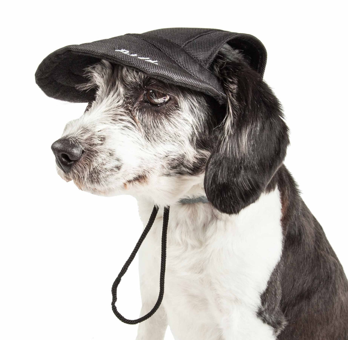 Cap-Tivating Uv Protectant Adjustable Fashion Dog Hat - Jet Black, Medium