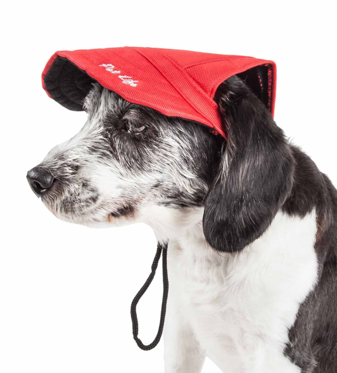 Cap-Tivating Uv Protectant Adjustable Fashion Dog Hat - Red, Medium