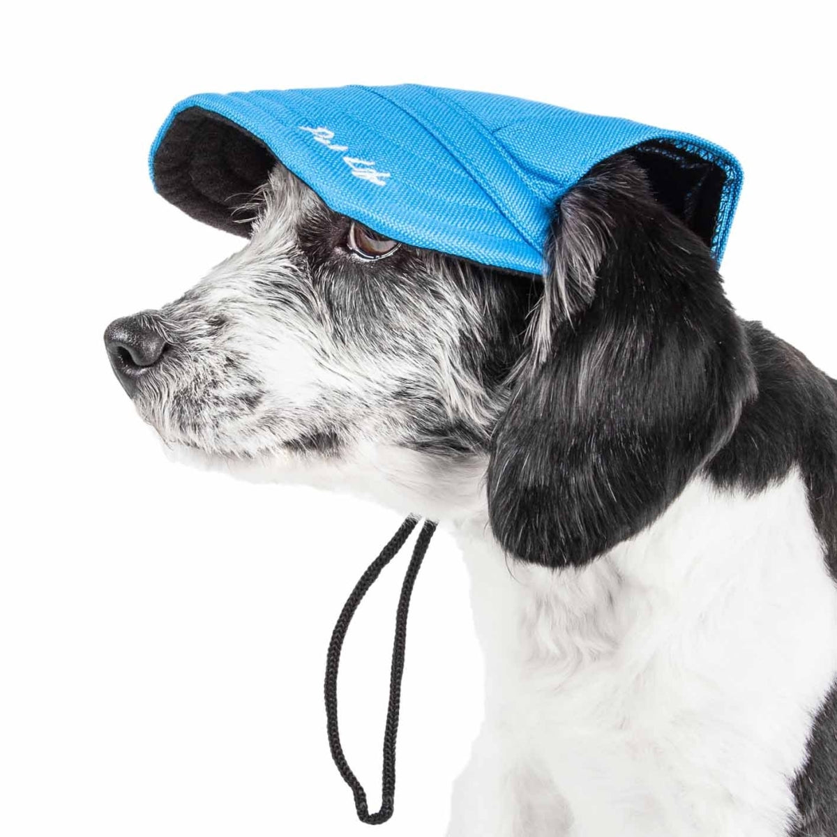 Cap-Tivating Uv Protectant Adjustable Fashion Dog Hat - Blue, Medium