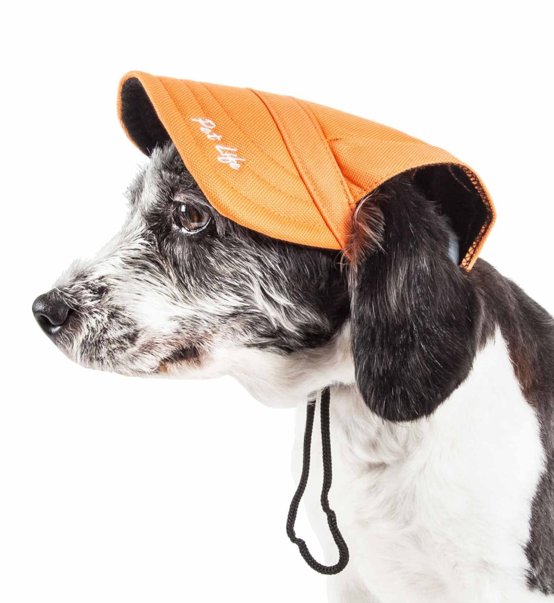 Cap-Tivating Uv Protectant Adjustable Fashion Dog Hat - Orange, Medium