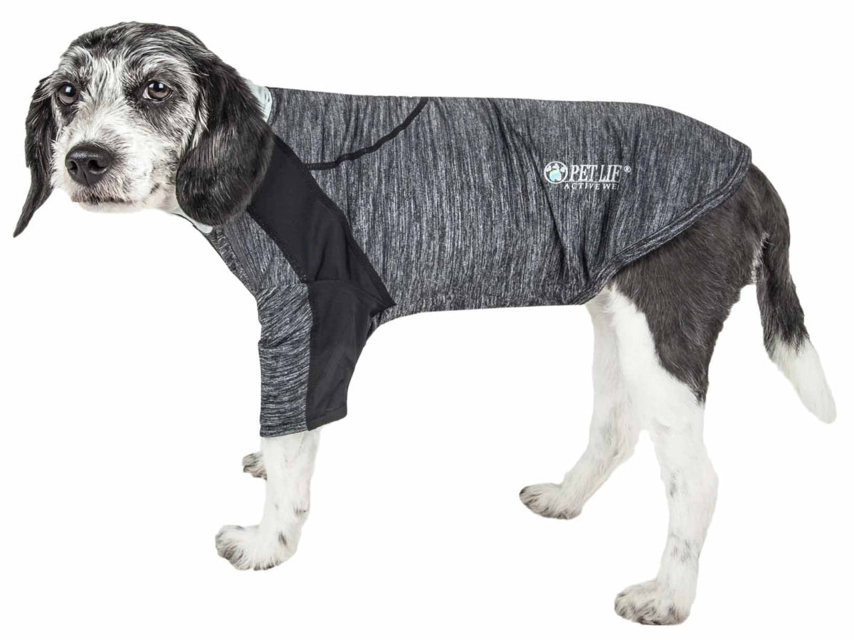 Active Chewitt Wagassy 4-Way Stretch Performance Long Sleeve Dog T-Shirt&#44; Black - Medium