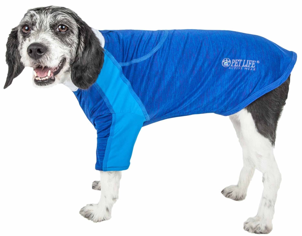 Active Chewitt Wagassy 4-Way Stretch Performance Long Sleeve Dog T-Shirt&#44; Blue - Medium