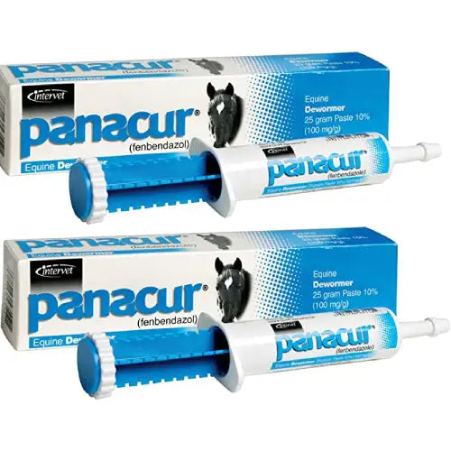 Panacur Equine Paste 10% Horse Dewormer 25g Apple Flavor 100mg