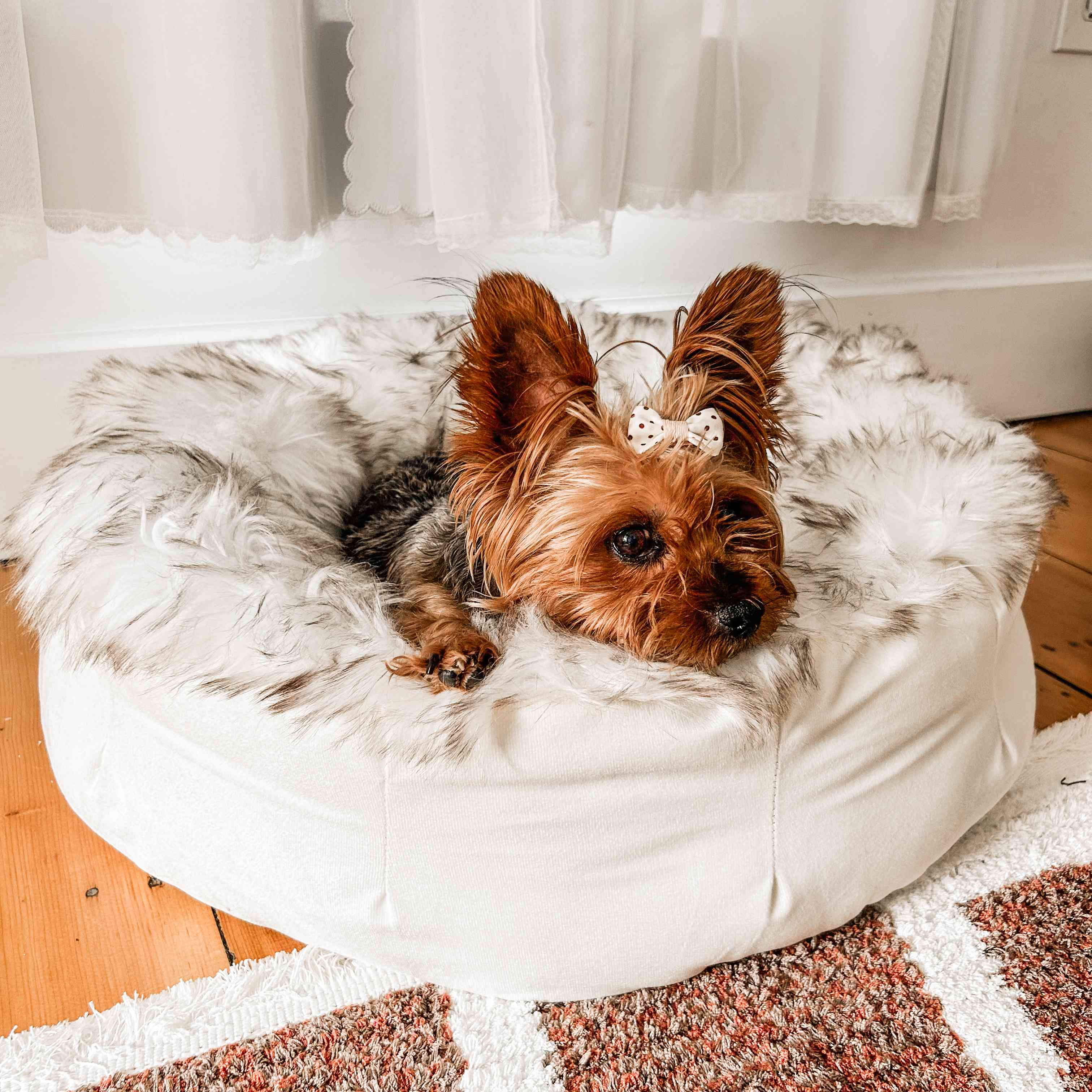 PupPouf Faux Fur Donut Dog Bed - White with Brown Accents