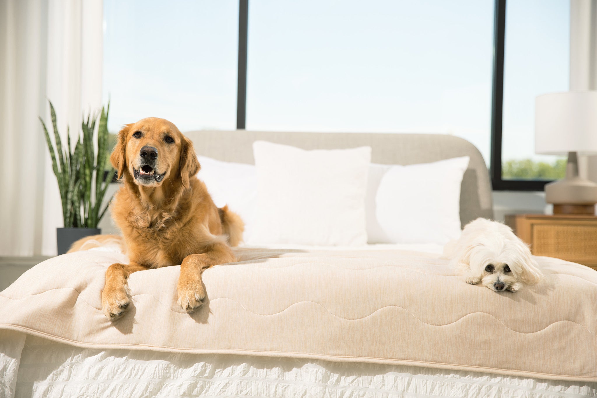 PupChill Cooling Waterproof Runner Blanket - Arctic Sand