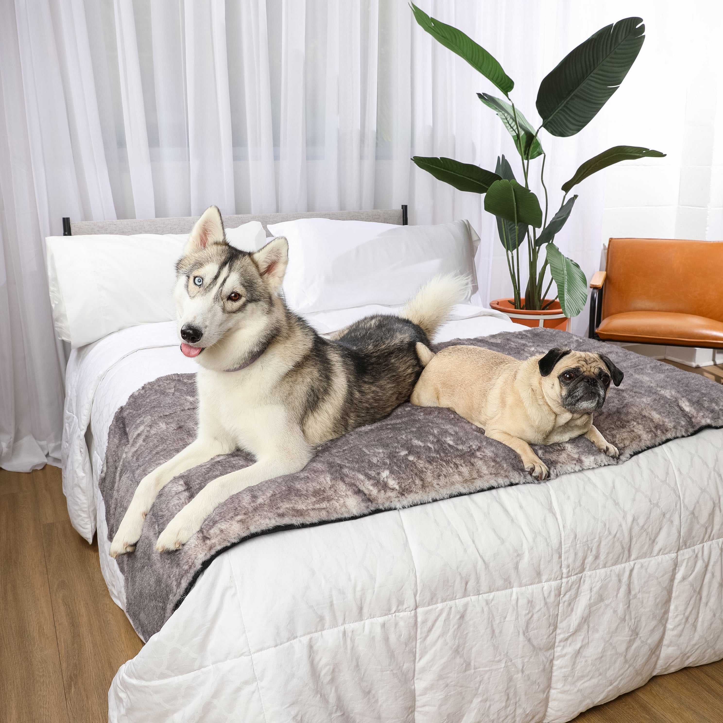 PupProtector Luxe Waterproof Bed Runner - Ultra Soft Chinchilla