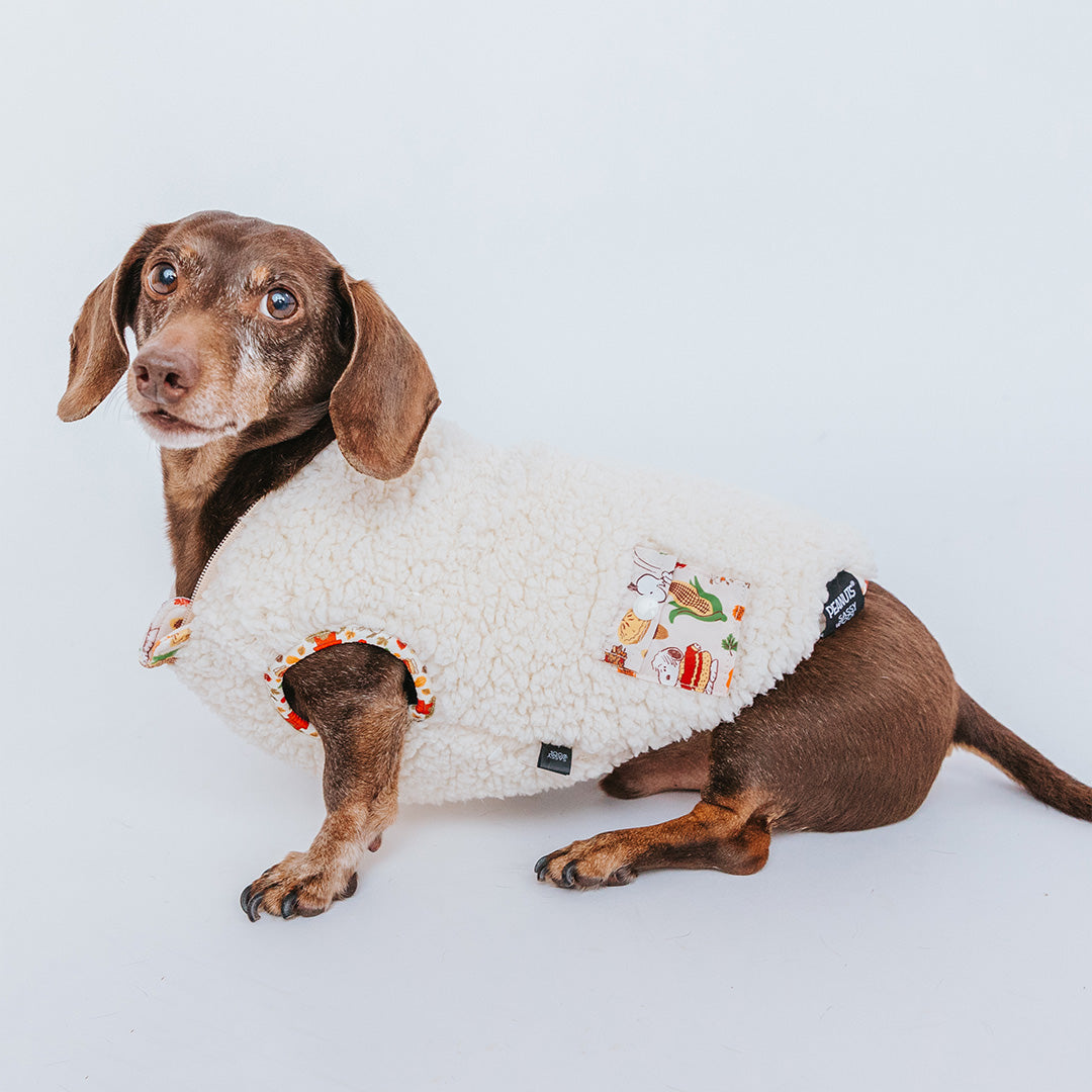 Dog Reversible Sherpa Jacket - Peanuts Harvest