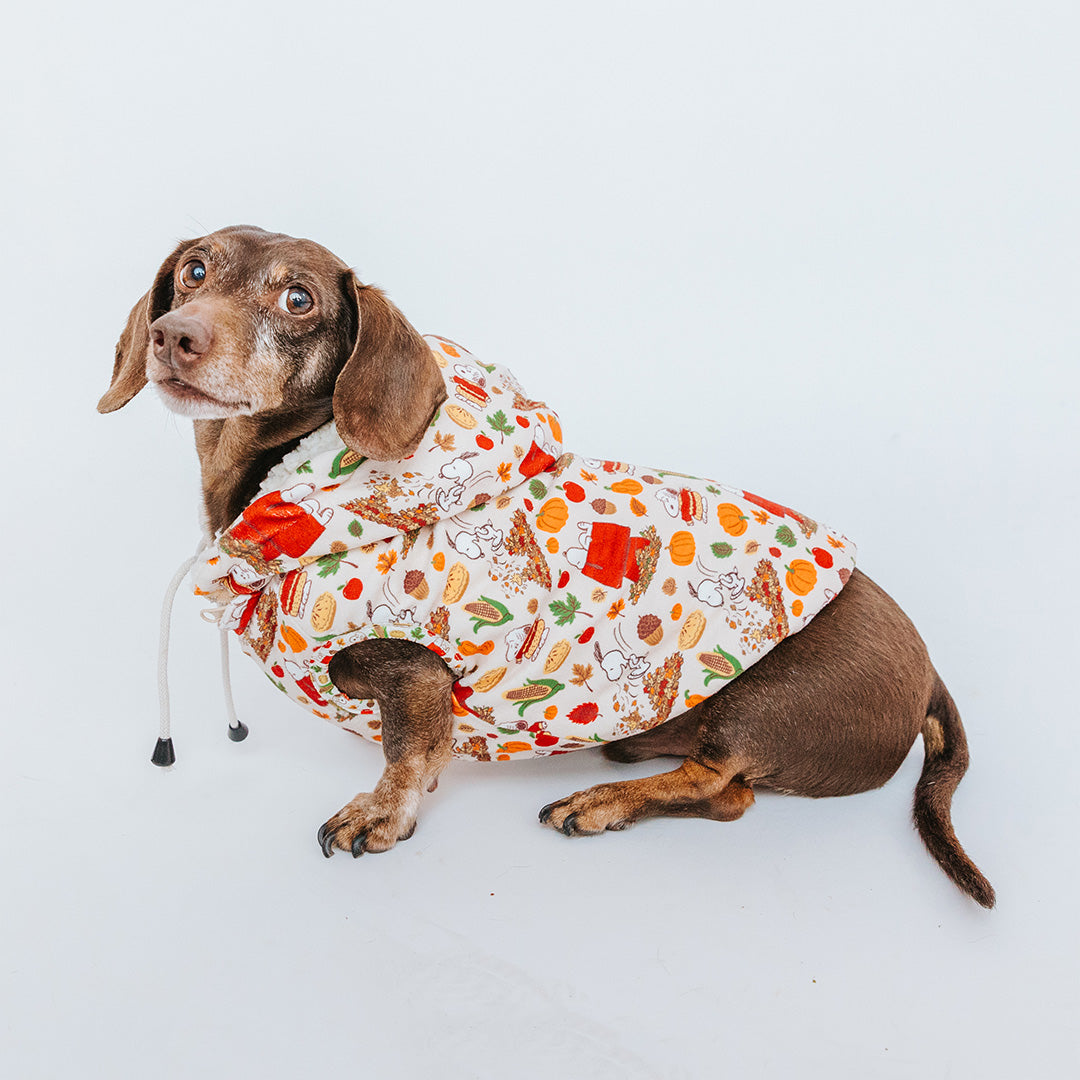 Dog Reversible Sherpa Jacket - Peanuts Harvest
