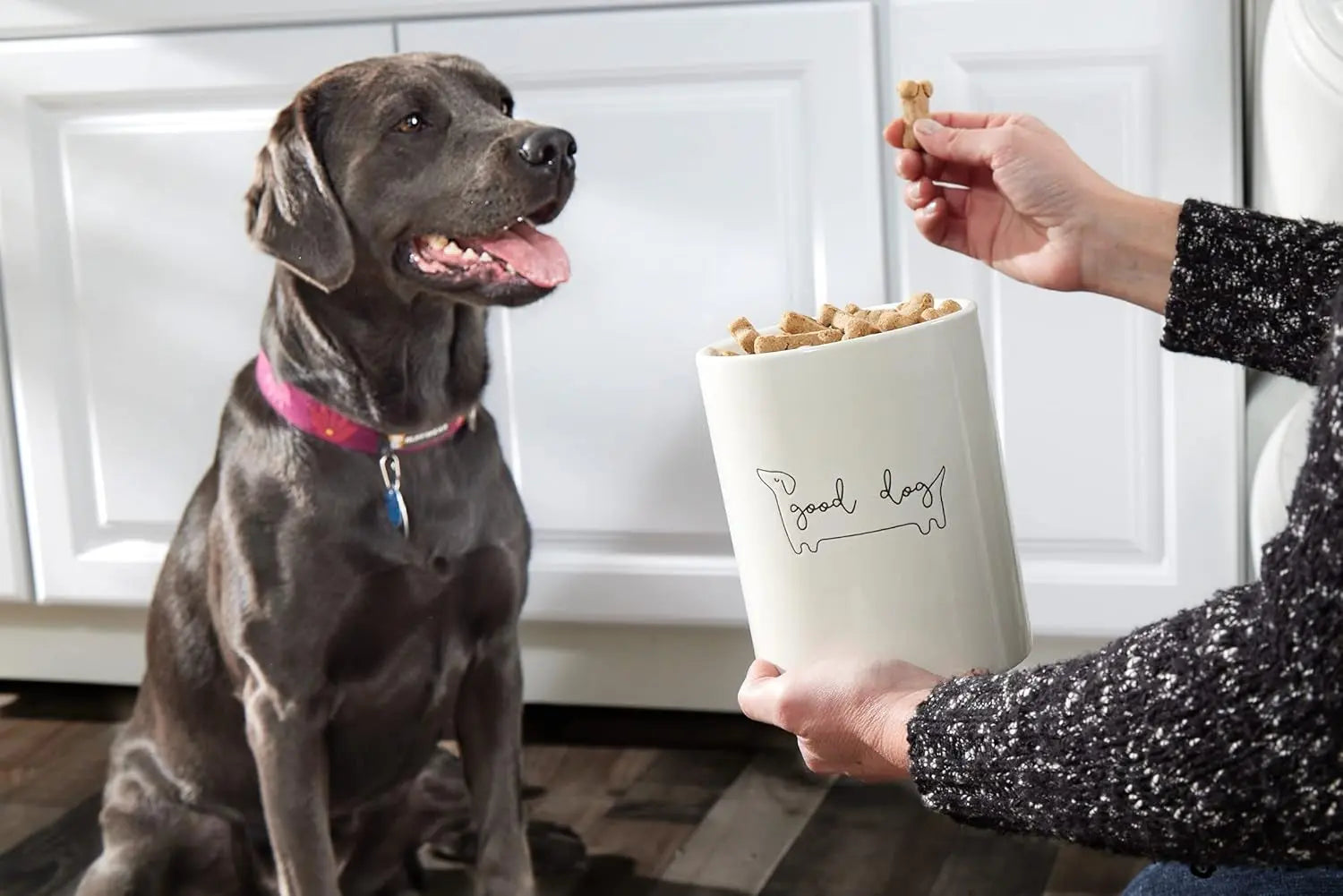 Pearhead Ceramic Treat Jar & M–XL Ceramic Dog Bowl | Modern Pet