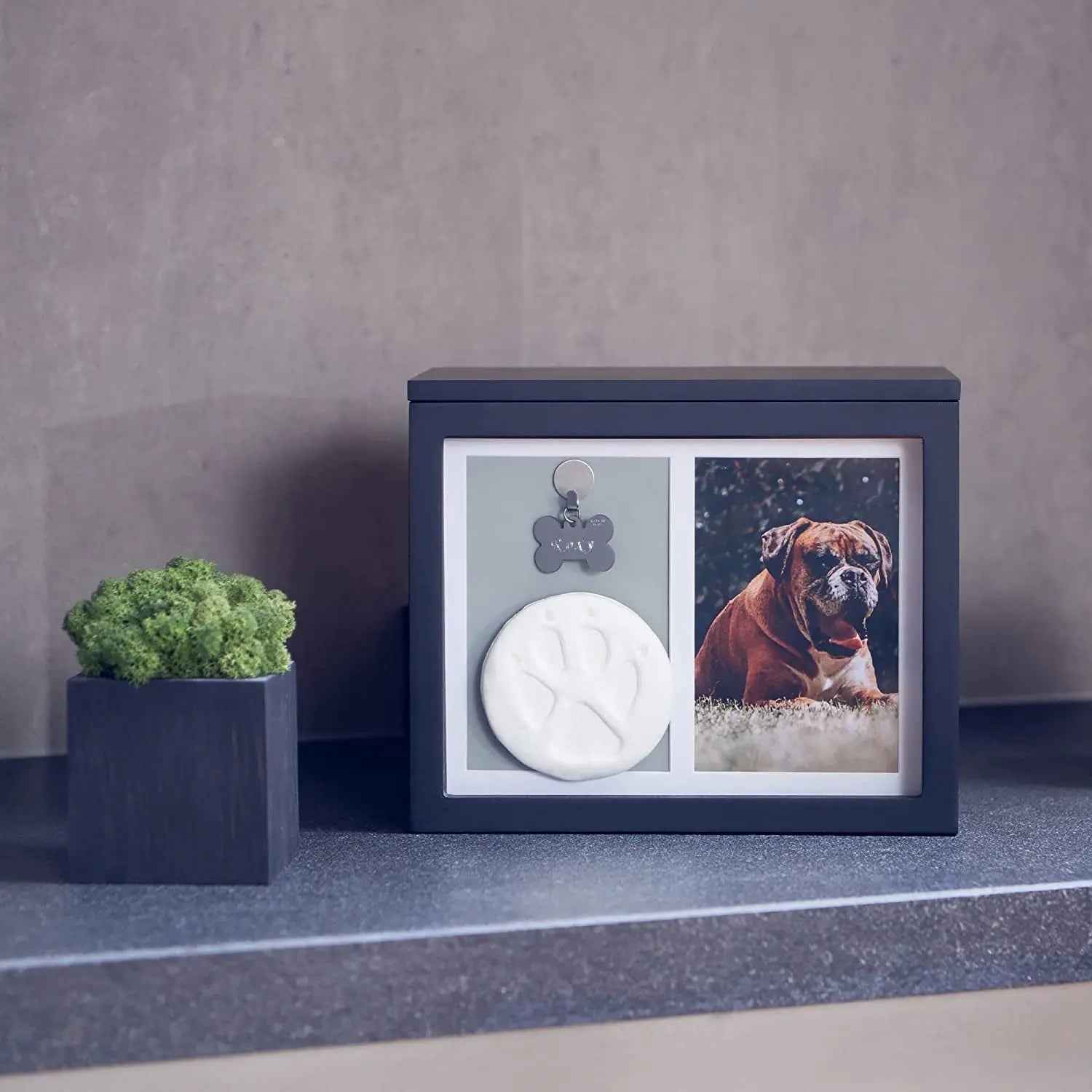 Pet Memorial Urn Keepsake Box with Photo Frame, Paw Print Kit & Album