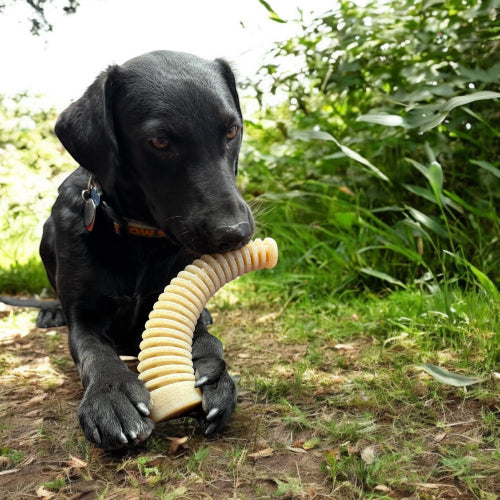 Flufflehorn Dental Antler - Durable Nylon Dog Chew Toy XL | USA Made
