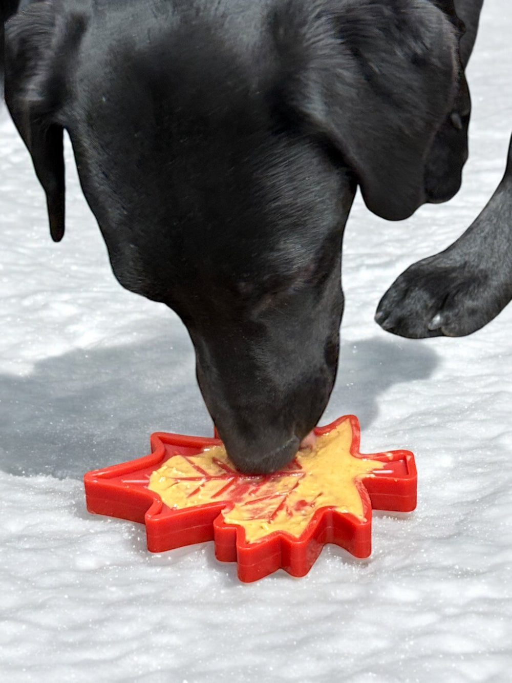 Canadian Maple Leaf Nylon Dog Chew Toy - Durable & USA Made