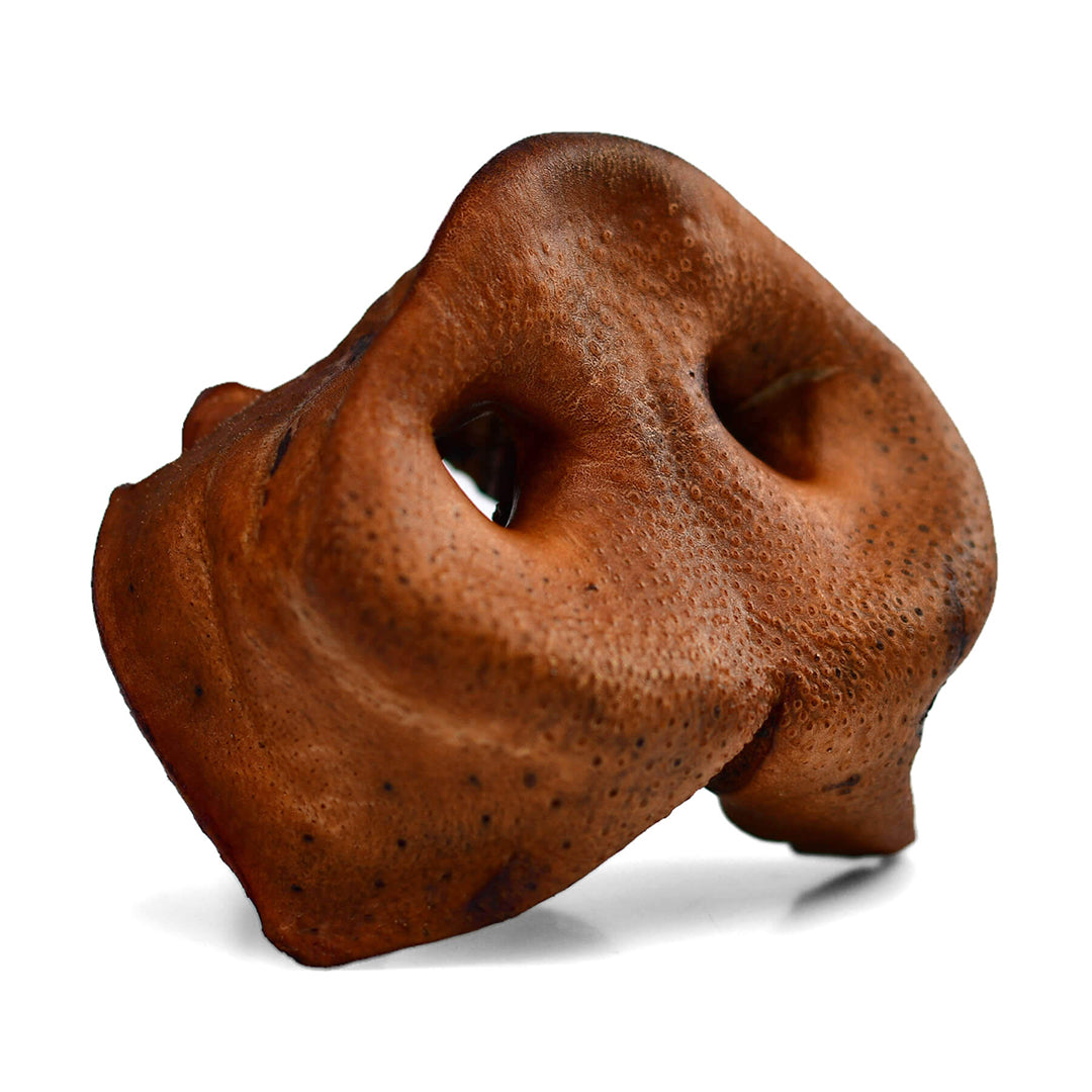 Pork Snouts